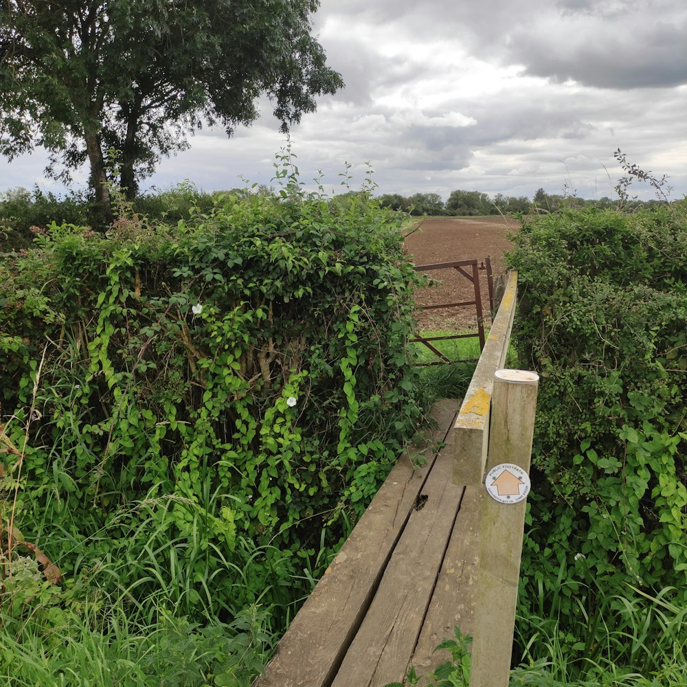 a wooden bridge over a lush green field