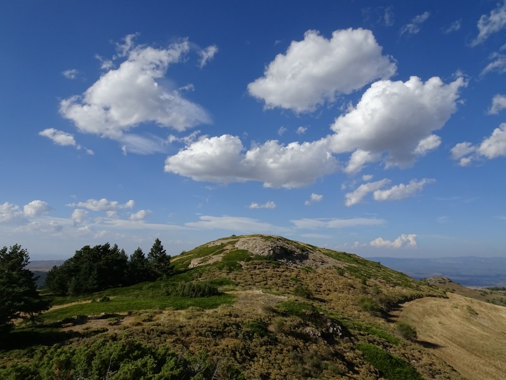 a grassy hill with trees and clouds in the sky