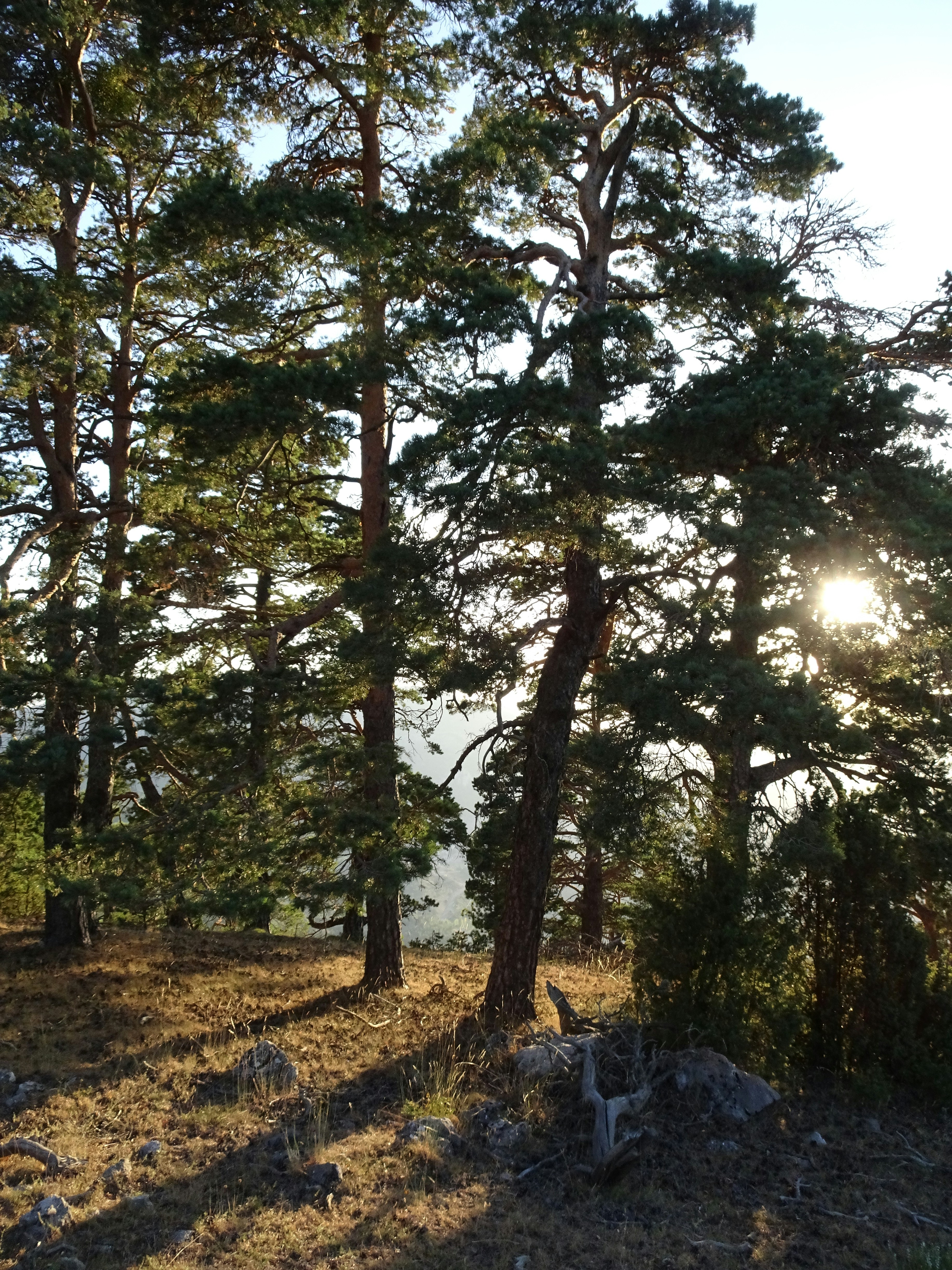 Photo by ludovico_06