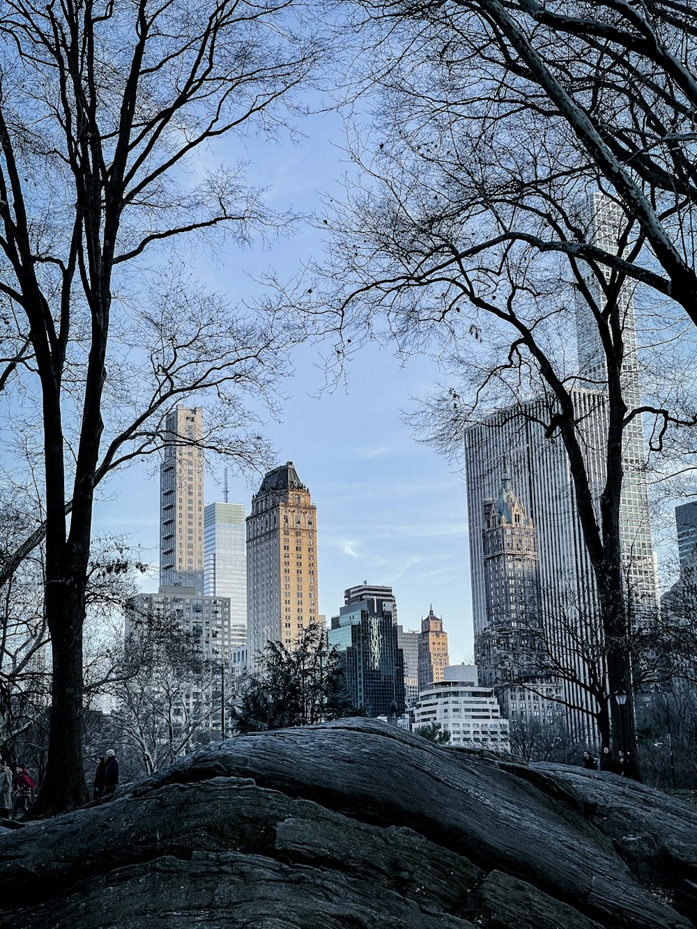 uma vista de uma cidade a partir de um banco de parque