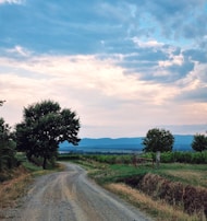 A winding dirt road leading through expansive rural fields at sunset.