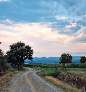 A winding dirt road leading through expansive rural fields at sunset.