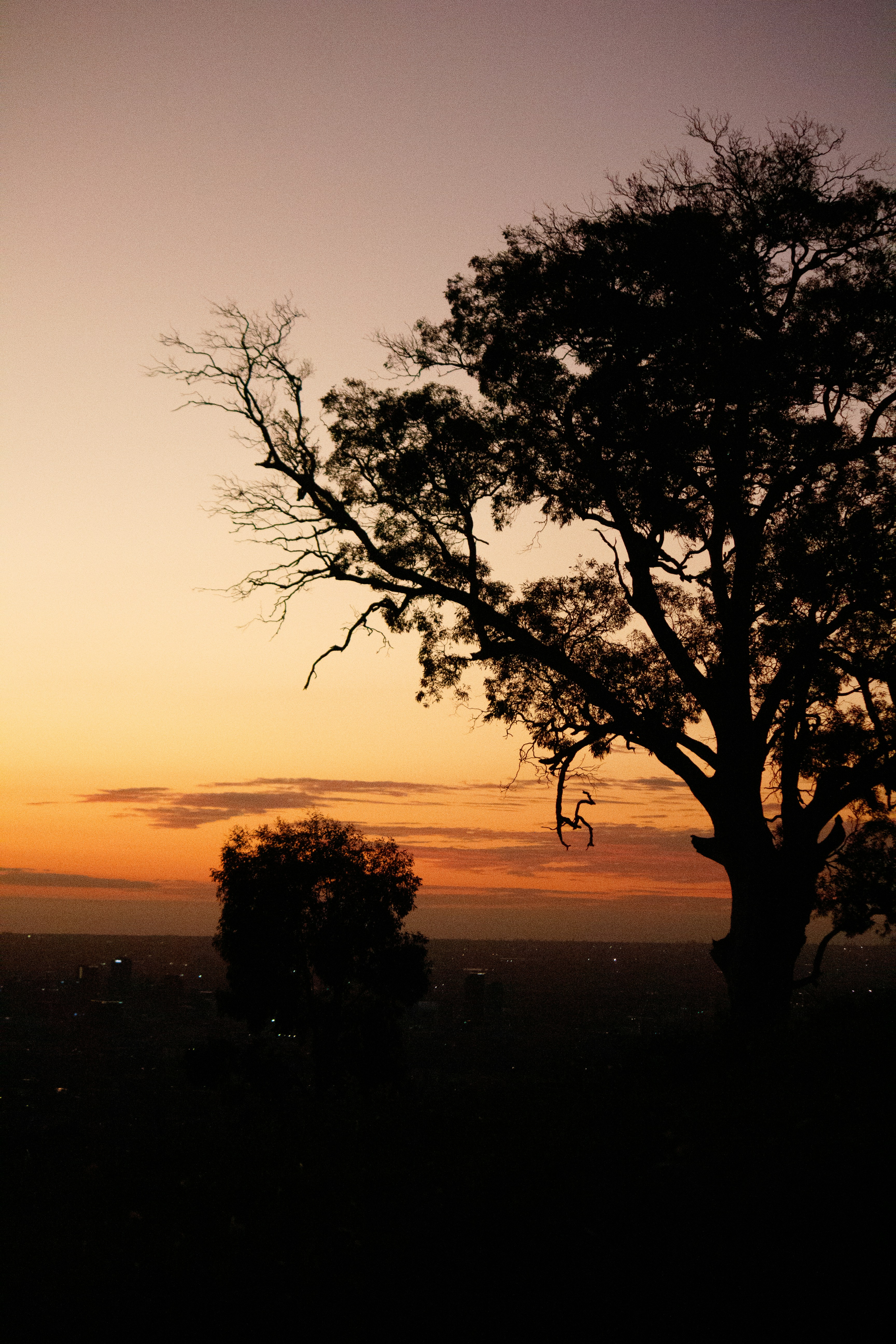 Photo by photophilic_spook