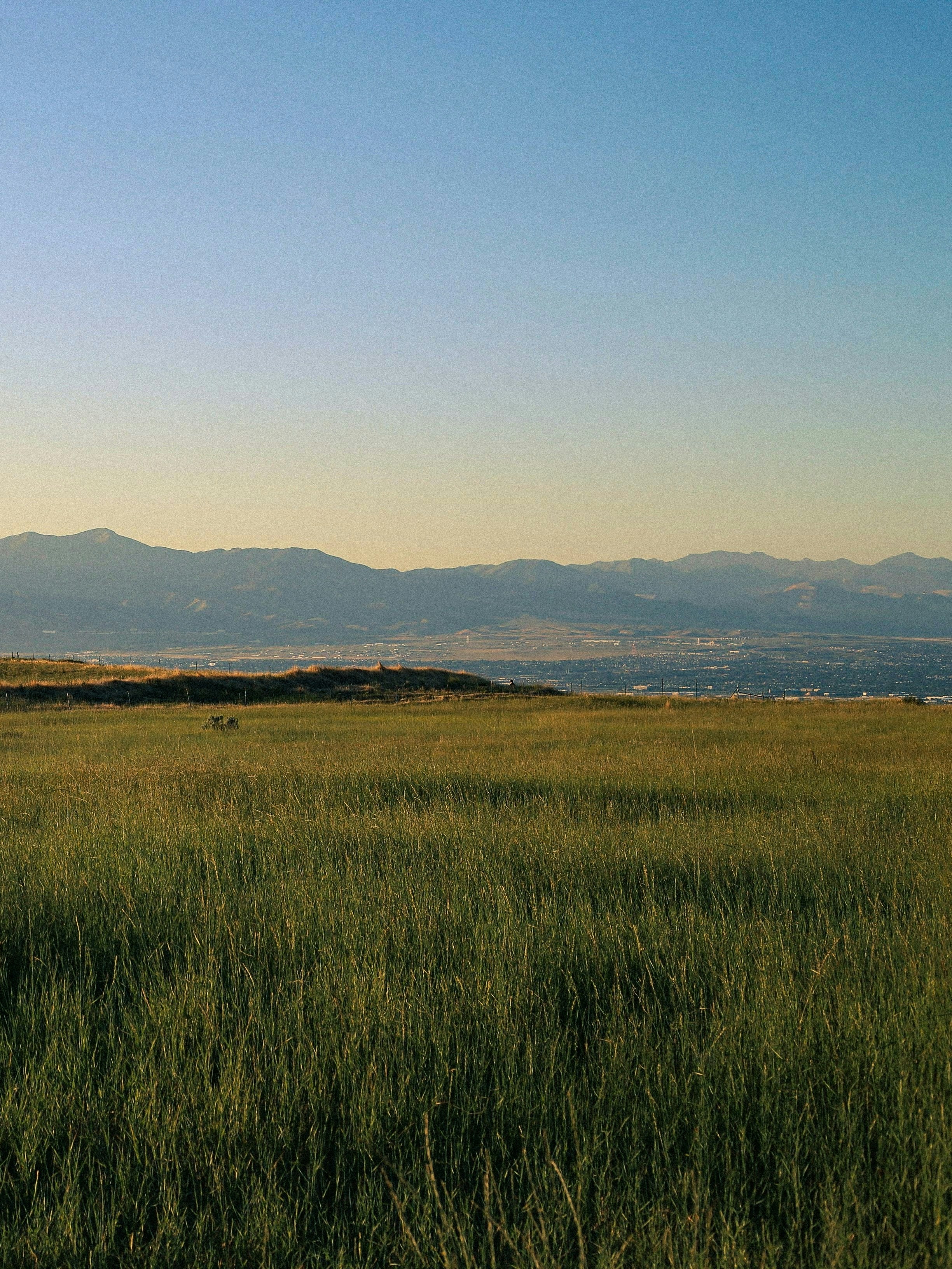 Photo by lostintespace