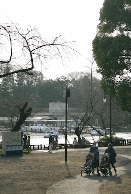 A serene lakeside spot in Île-de-France with women resting and enjoying nature.