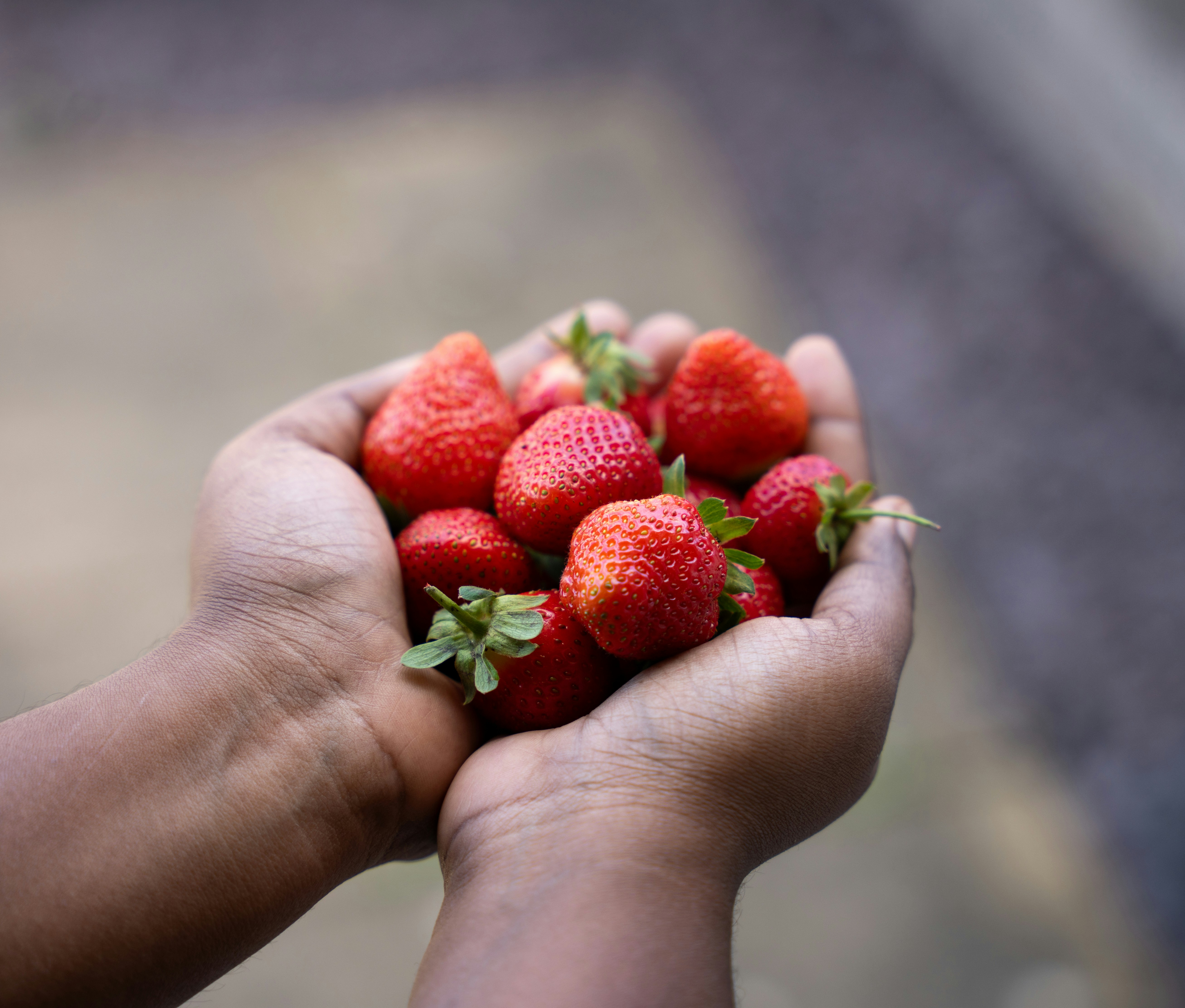 New Insights on MS Disability Progression and Treatments