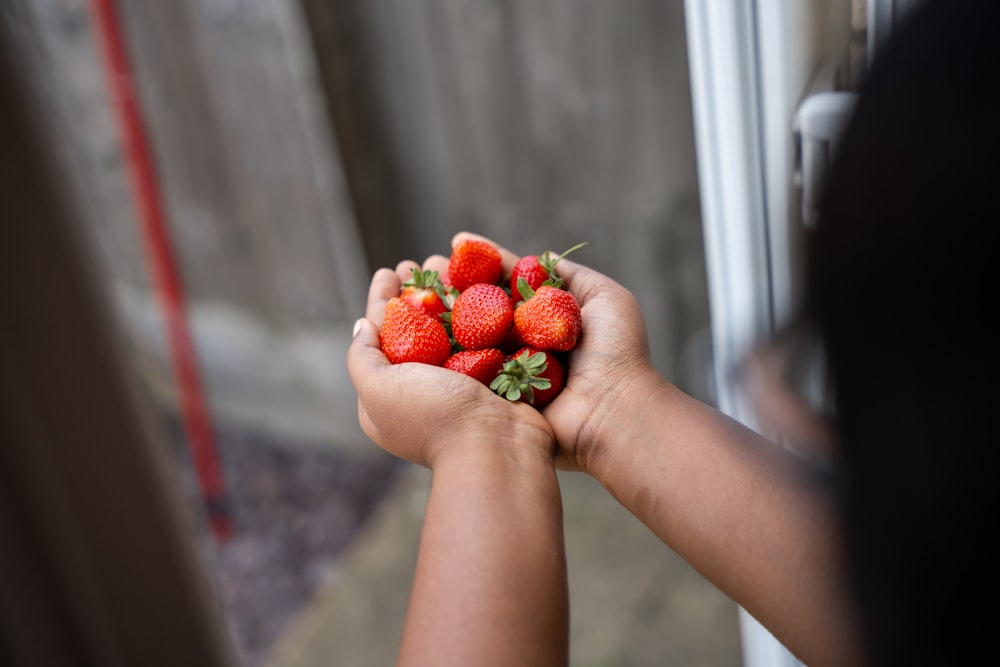 a person holding a bunch of strawberries in their hands