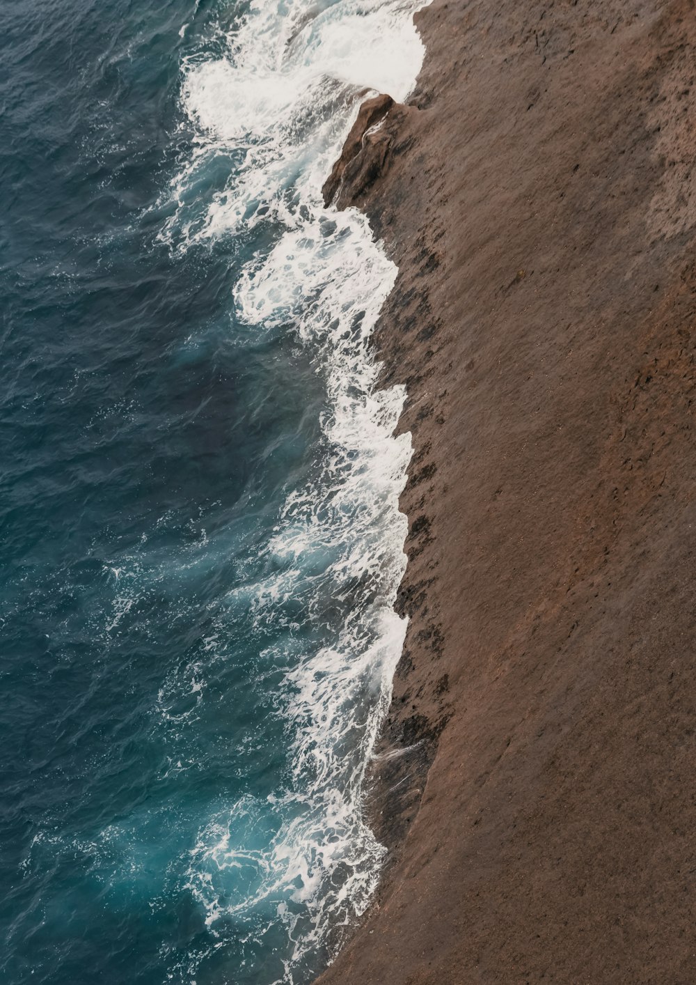 a bird is perched on the edge of a cliff by the ocean