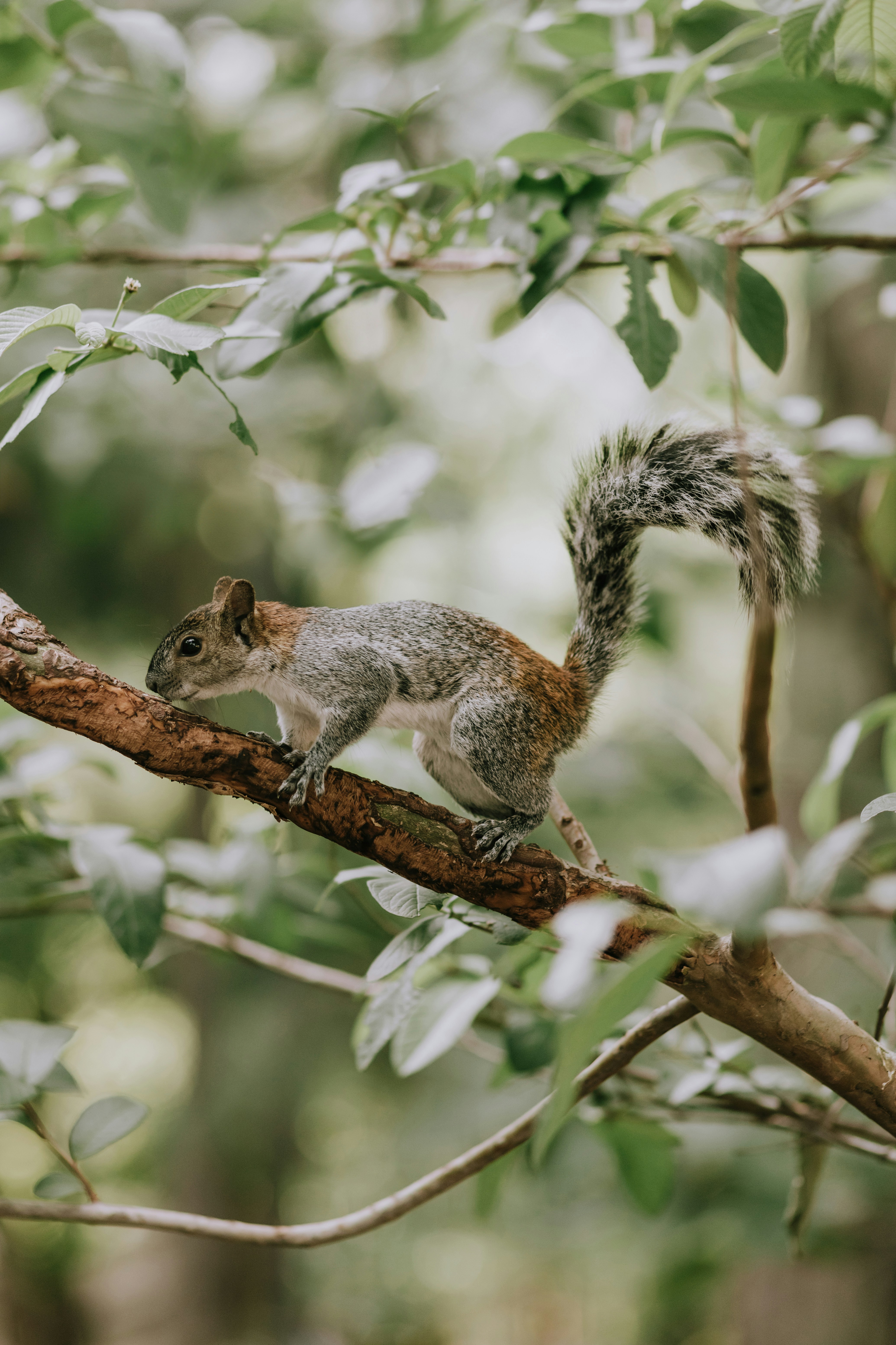 Photo by miguelheezg