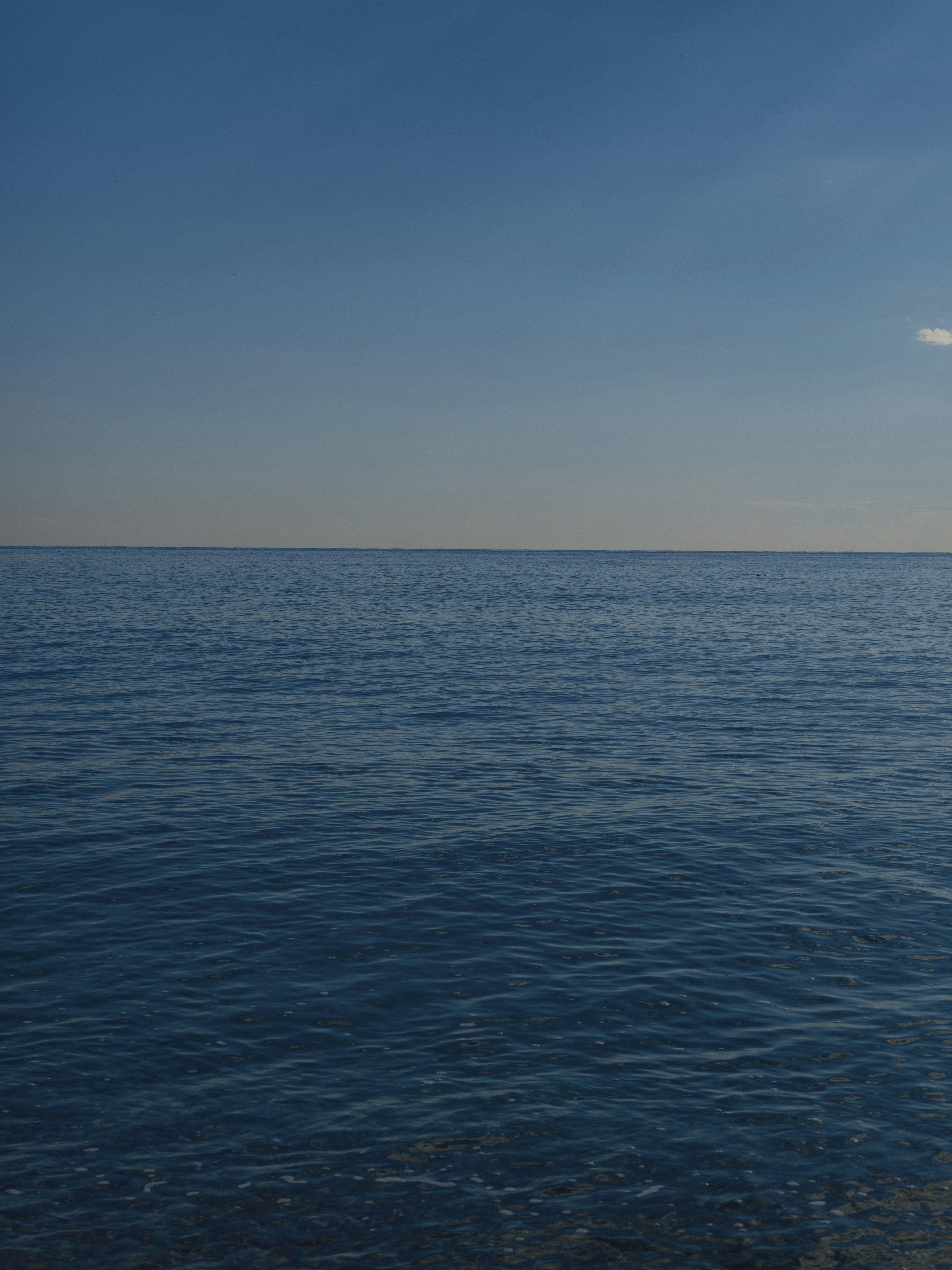 Photo by enginakyurt