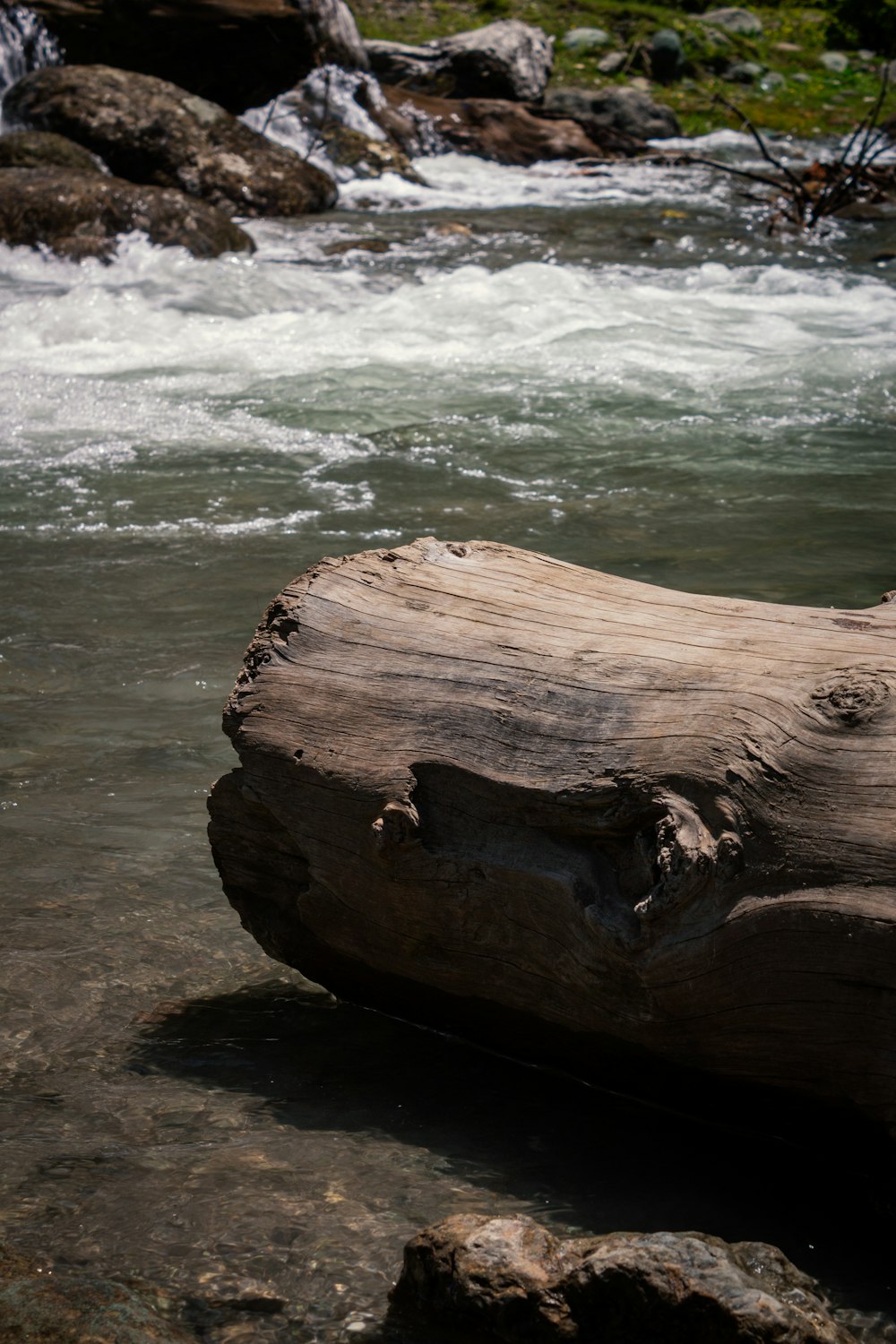 a log sitting in the middle of a river