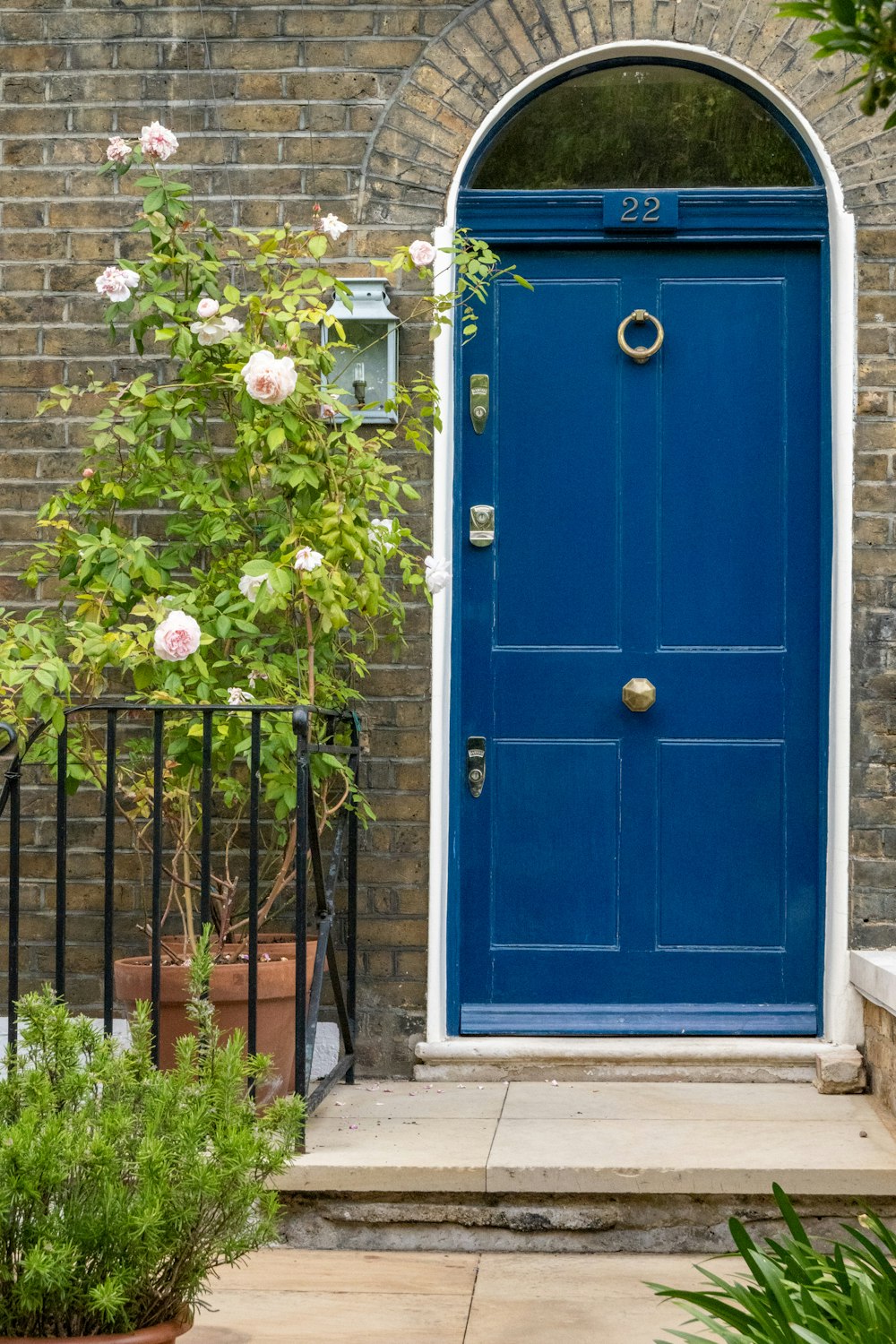 a blue door with a black iron fence