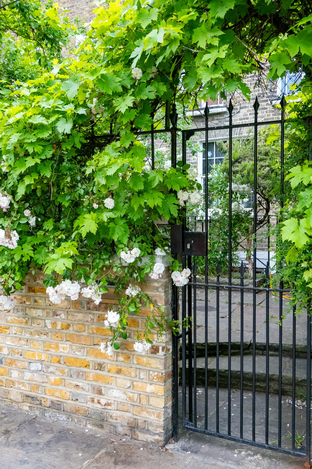 a brick wall with a gate and flowers on it