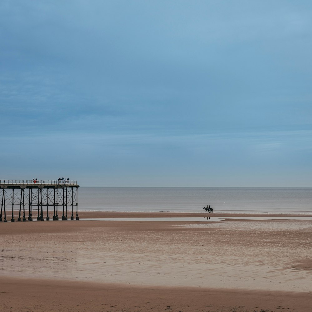 a group of people riding horses on top of a sandy beach