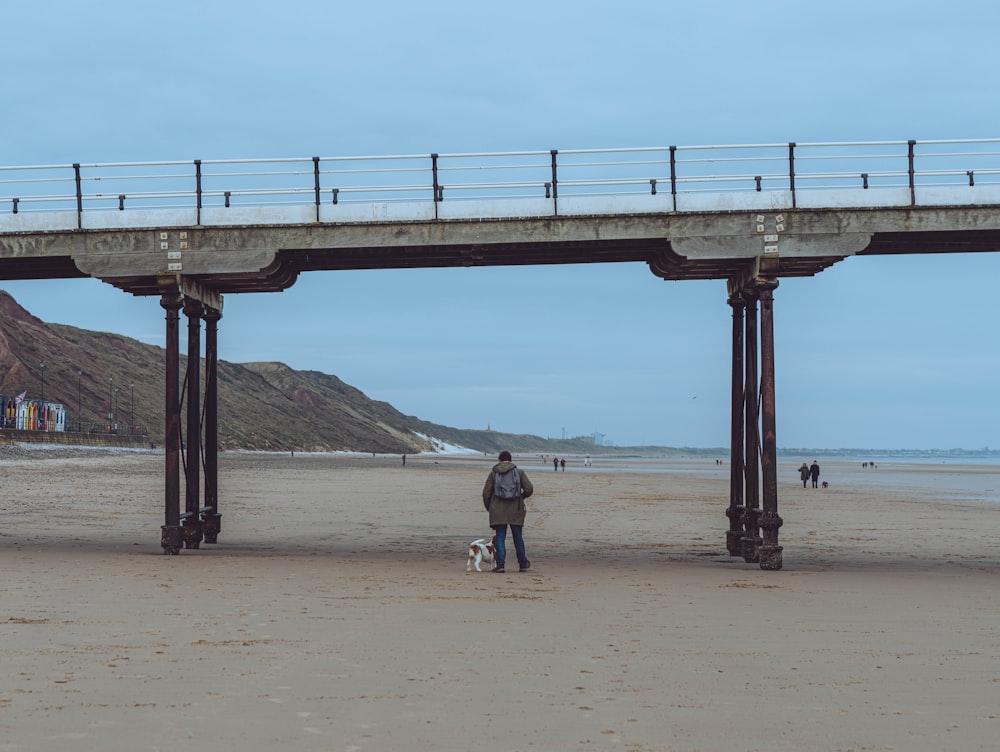 a person and a dog on a beach under a bridge