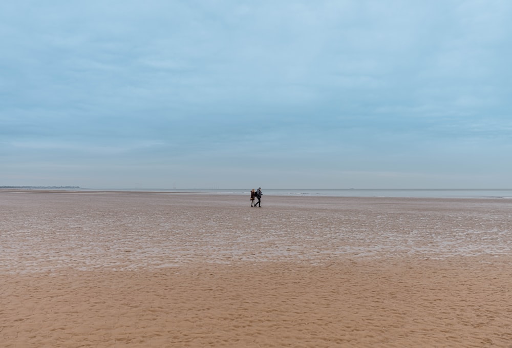 a couple of people standing on top of a sandy beach