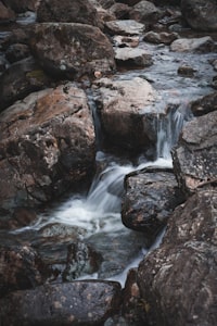 Photo by Adam Young on Unsplash