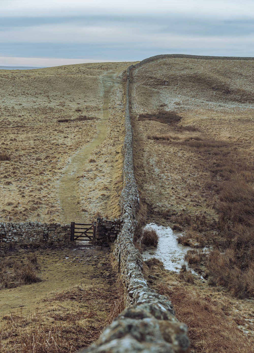 a dirt road in the middle of a dry grass field