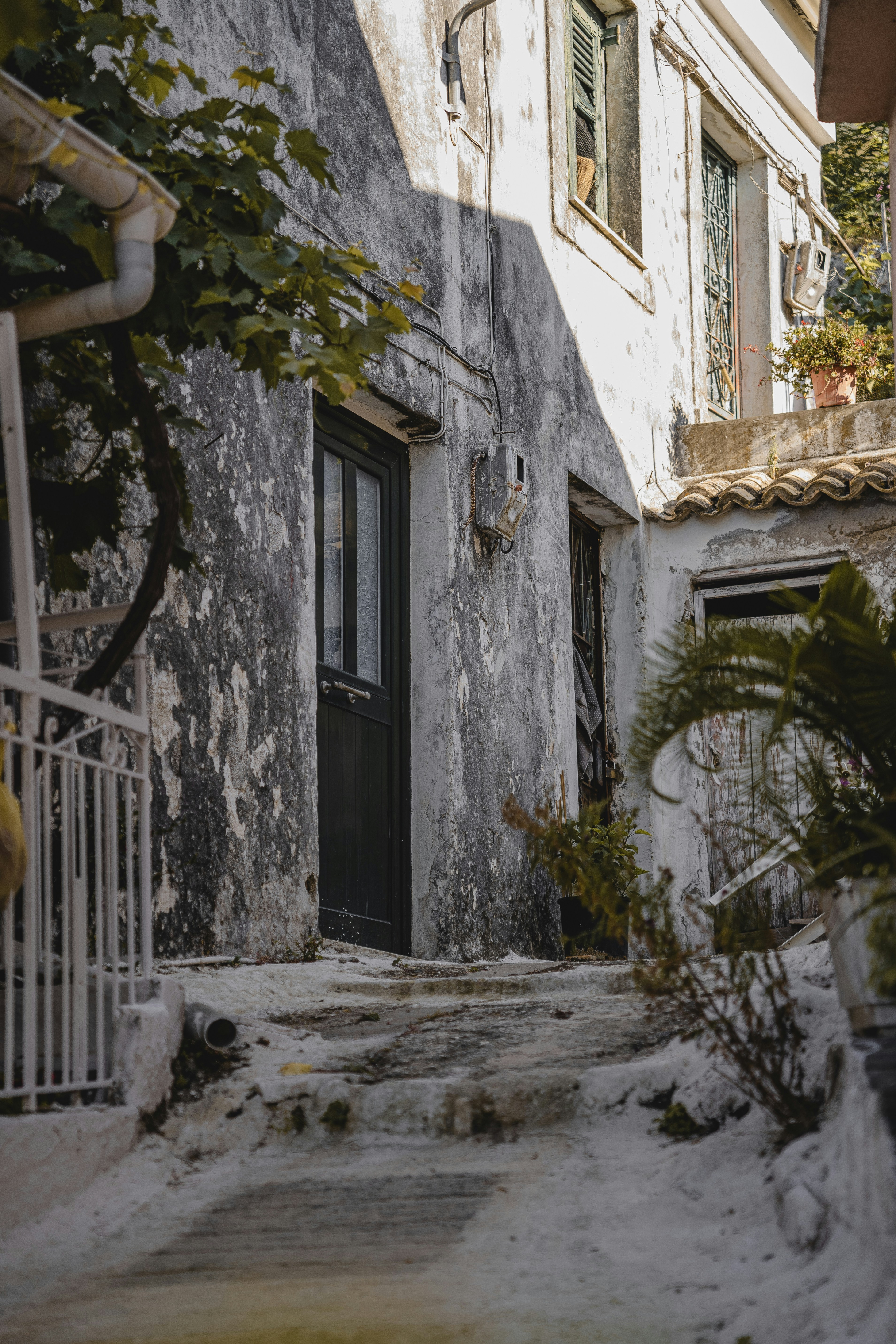 Photo by wheresalina