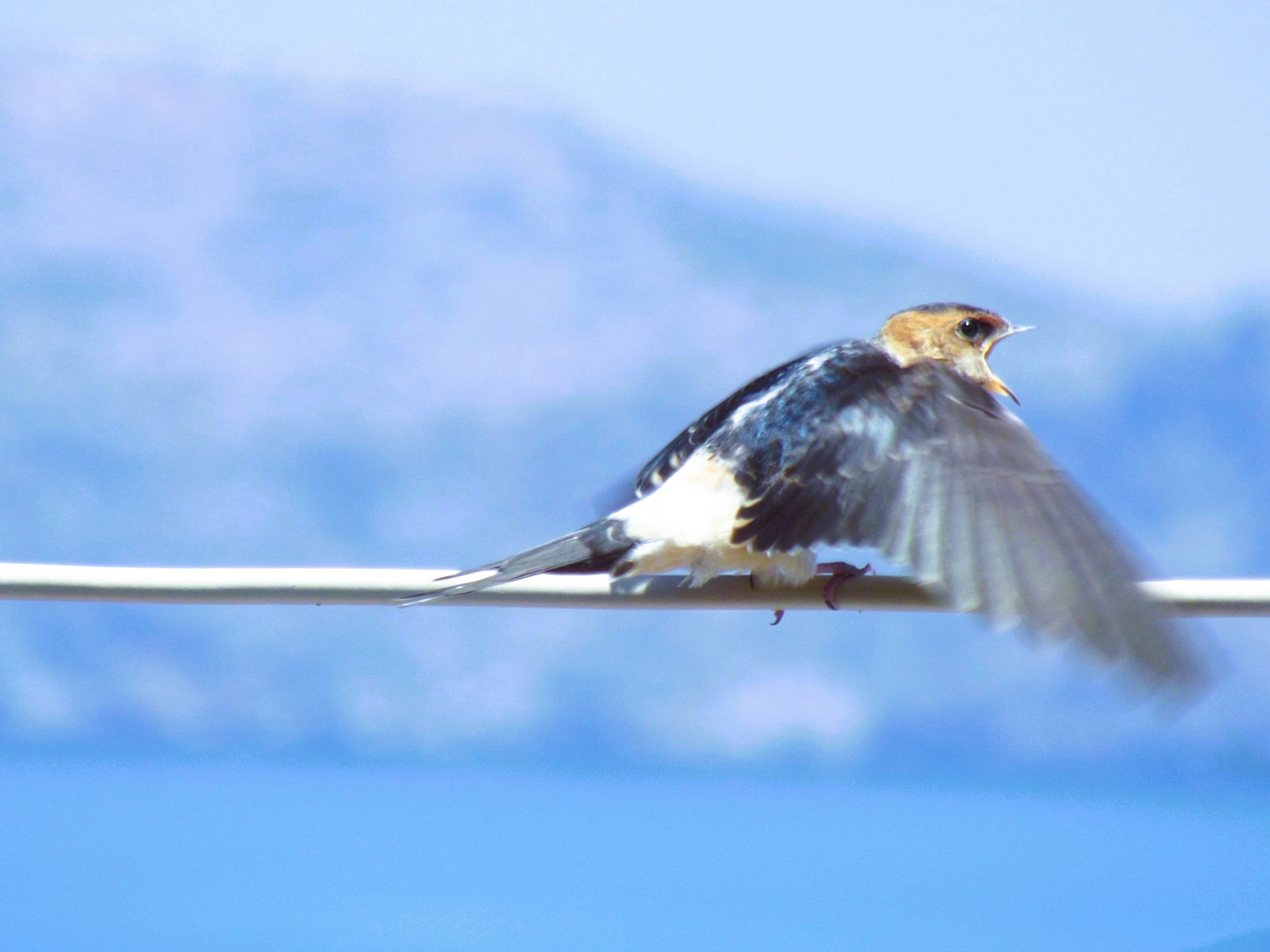 Explore Ancient Myths and Legends