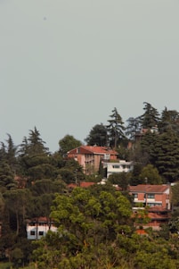Several houses with red roofs are nestled among a dense collection of trees on a hillside. The architecture features simple, modern designs with considerable greenery surrounding each building. Tall evergreen trees tower over the houses, adding to the lush landscape.