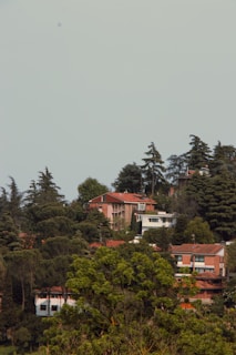 Several houses with red roofs are nestled among a dense collection of trees on a hillside. The architecture features simple, modern designs with considerable greenery surrounding each building. Tall evergreen trees tower over the houses, adding to the lush landscape.