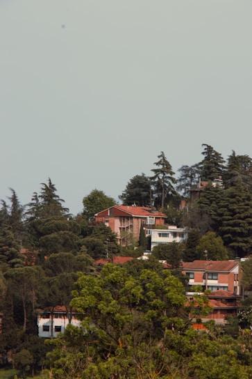 Several houses with red roofs are nestled among a dense collection of trees on a hillside. The architecture features simple, modern designs with considerable greenery surrounding each building. Tall evergreen trees tower over the houses, adding to the lush landscape.