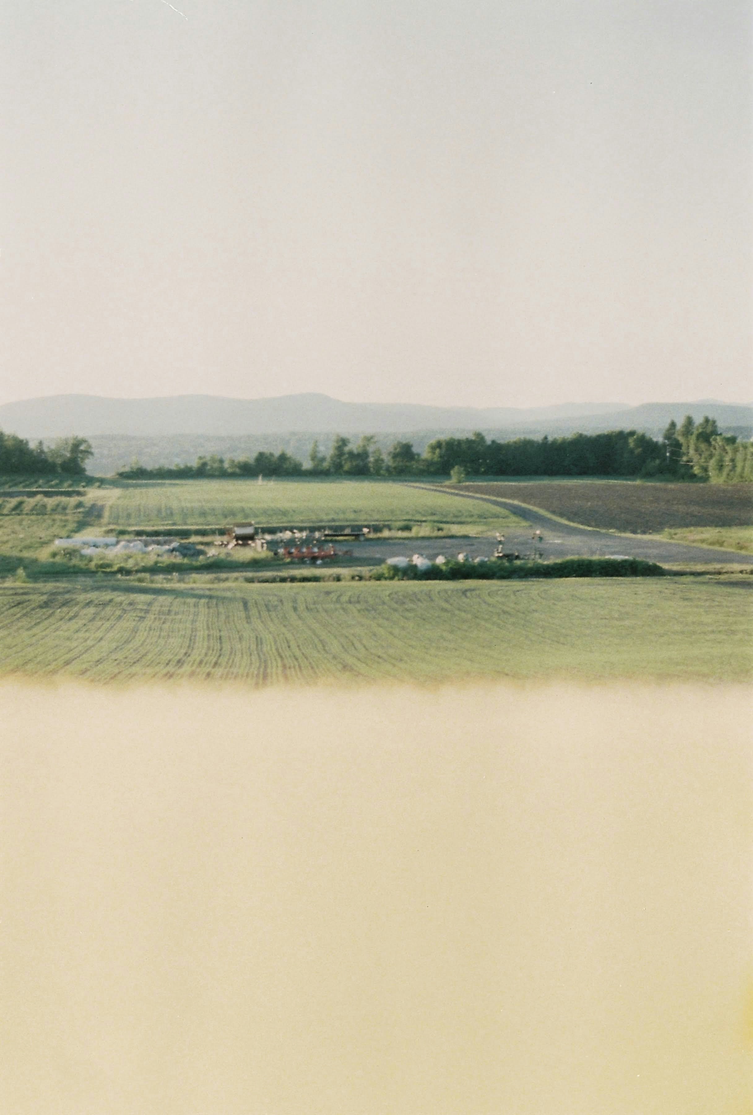 a picture of a field with a sky background