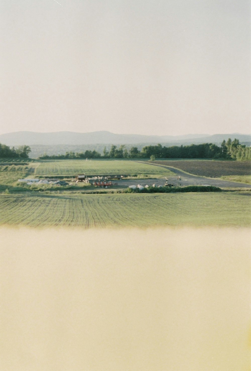 a picture of a field with a sky background