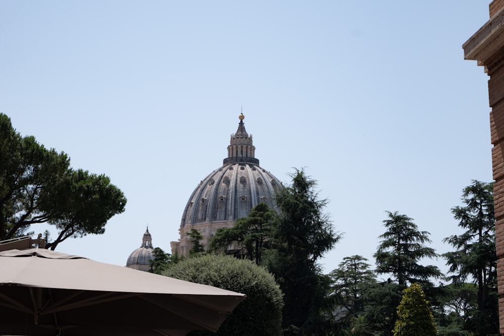 the dome of a building with trees in the foreground