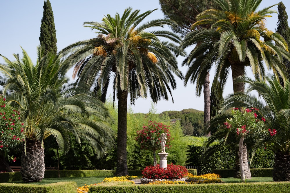 a couple of palm trees sitting next to each other