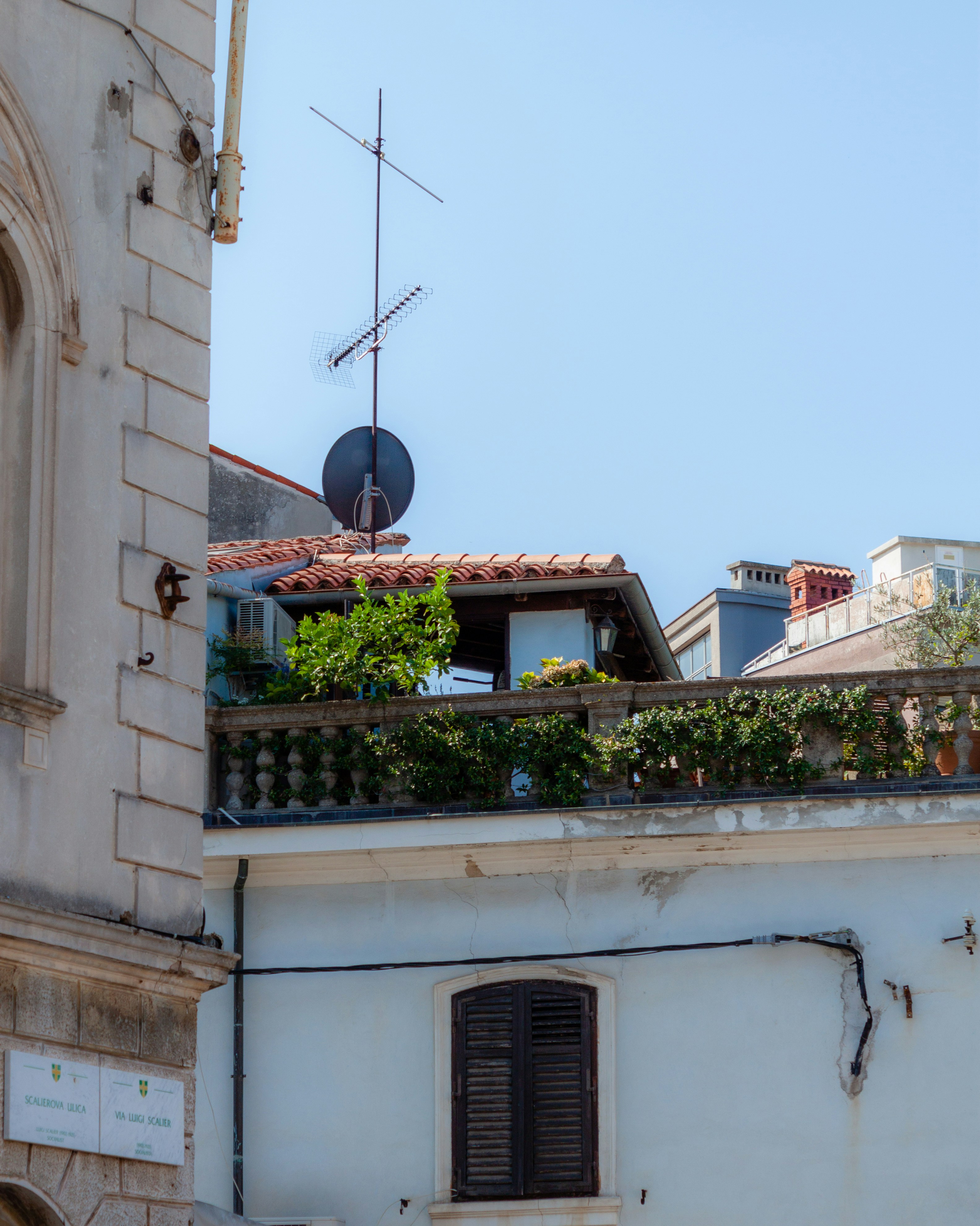 Photo by puskas_dominik