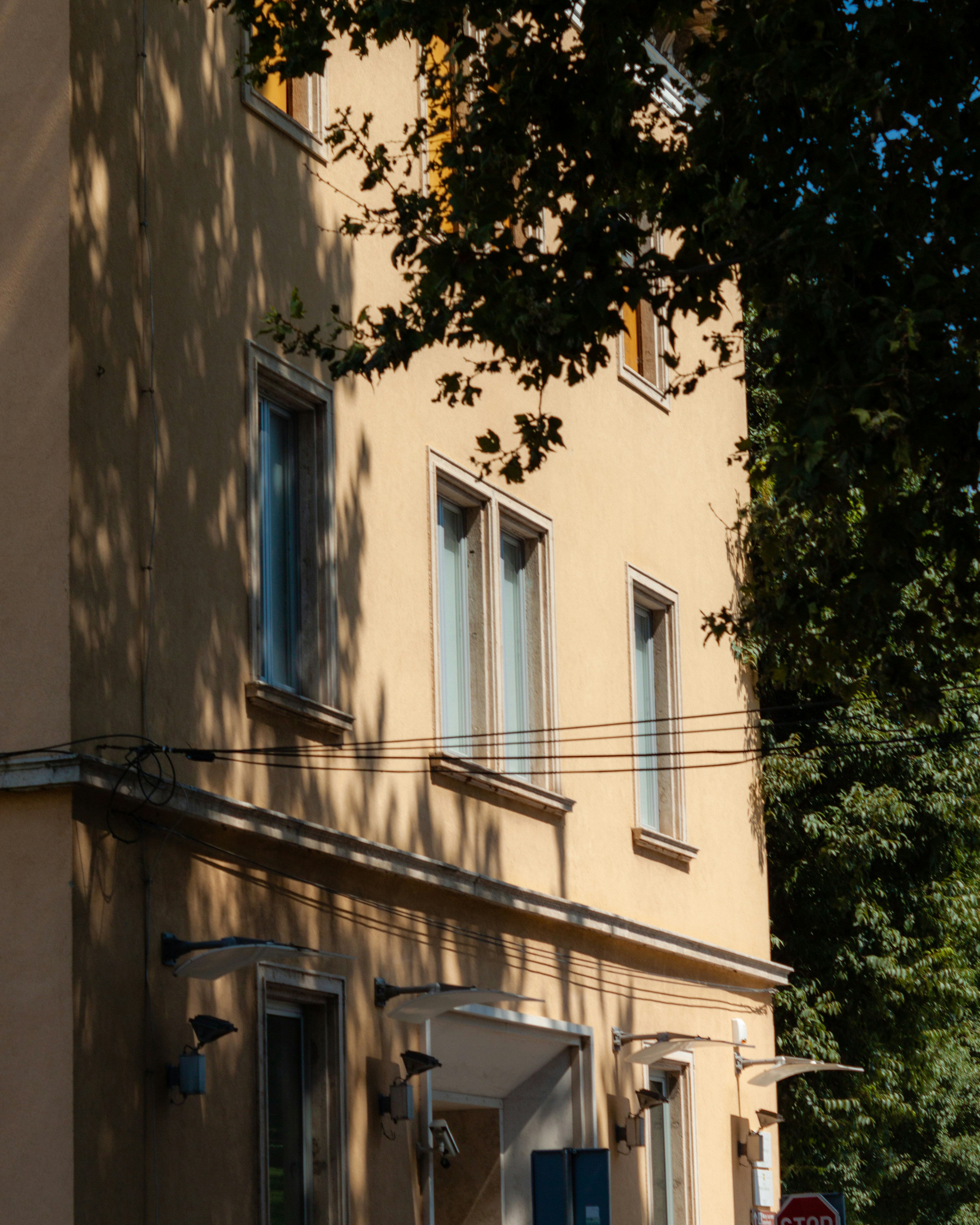 Photo by puskas_dominik