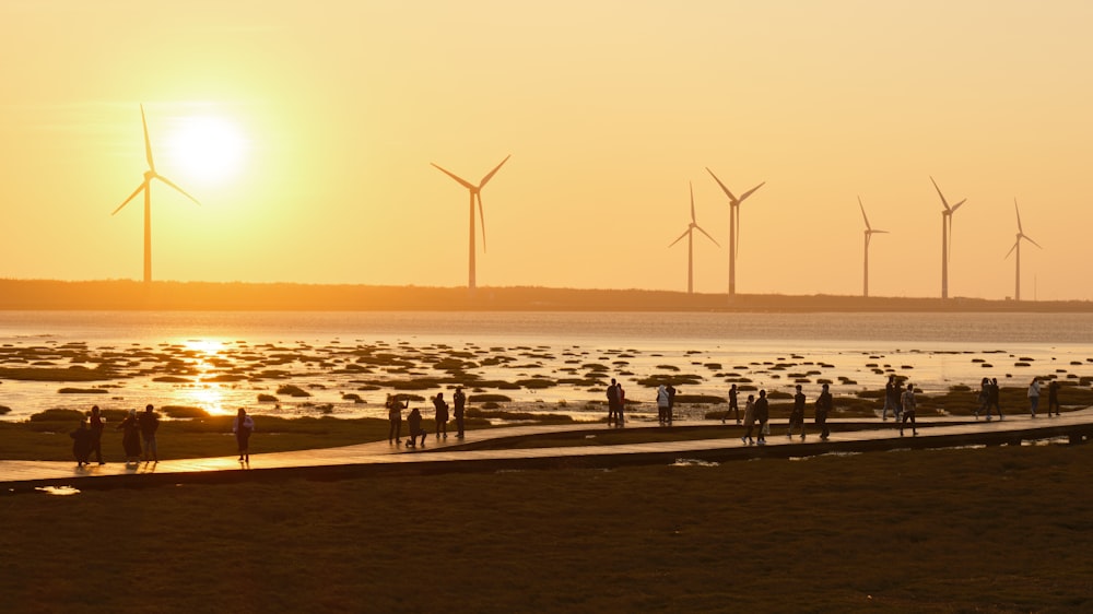 Eine Gruppe von Menschen, die an einem Strand neben einem Gewässer stehen