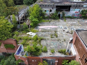 An abandoned industrial building complex overgrown with vegetation and covered in graffiti. The structure includes broken walls and windows, with plants growing through cracks in the concrete. The roof is partially collapsed, and colorful murals are prominent on several surfaces.