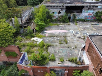 An abandoned industrial building complex overgrown with vegetation and covered in graffiti. The structure includes broken walls and windows, with plants growing through cracks in the concrete. The roof is partially collapsed, and colorful murals are prominent on several surfaces.
