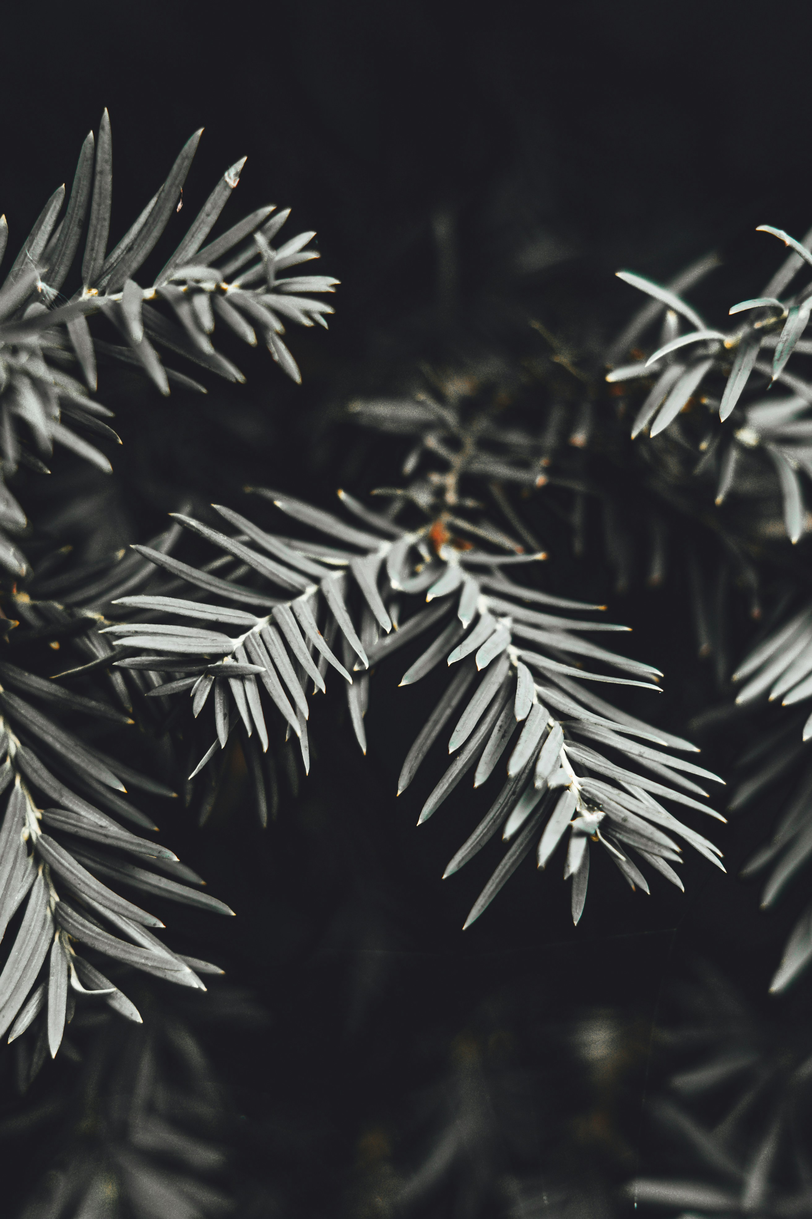 Photo by wojtekpaczes