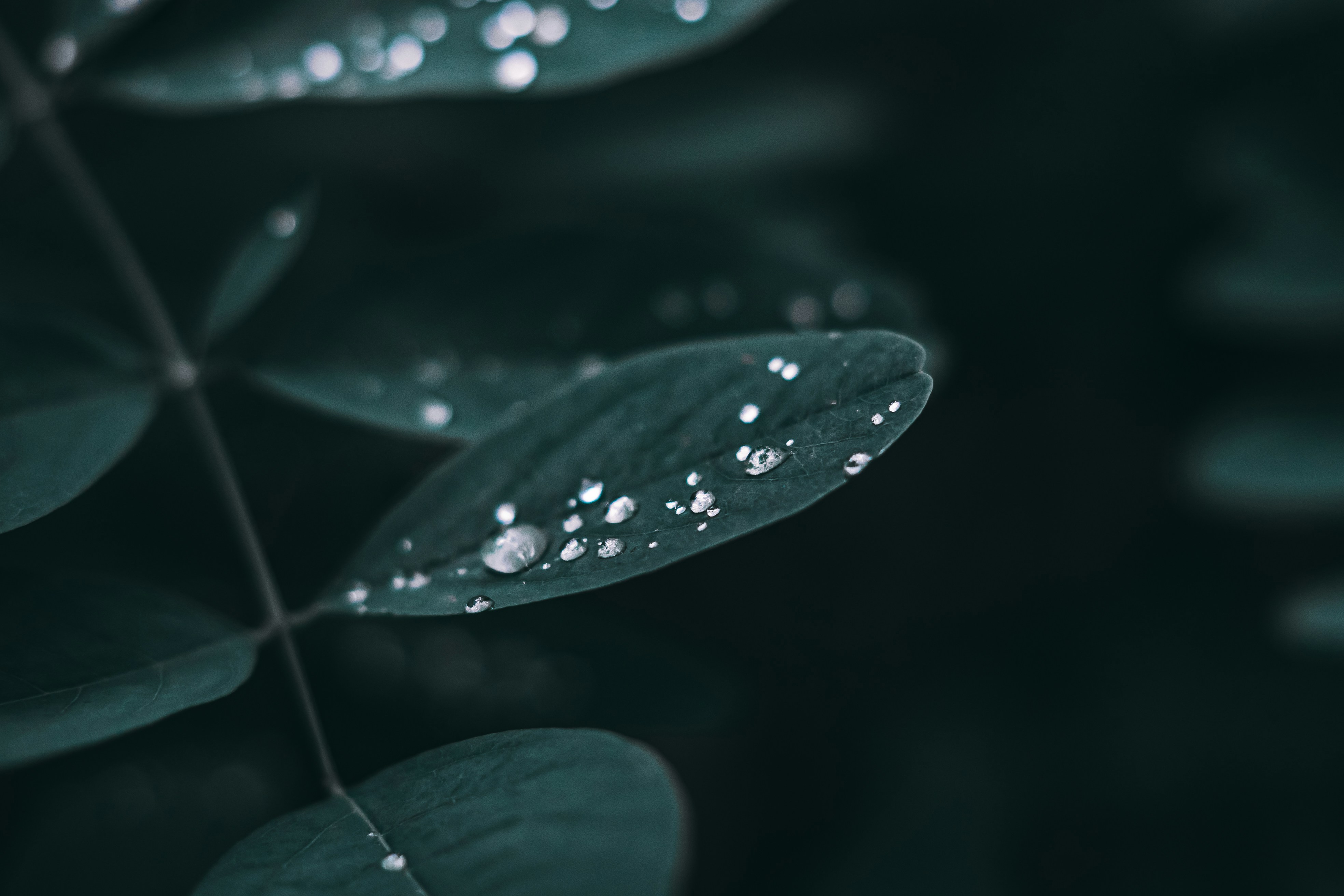 Photo by wojtekpaczes