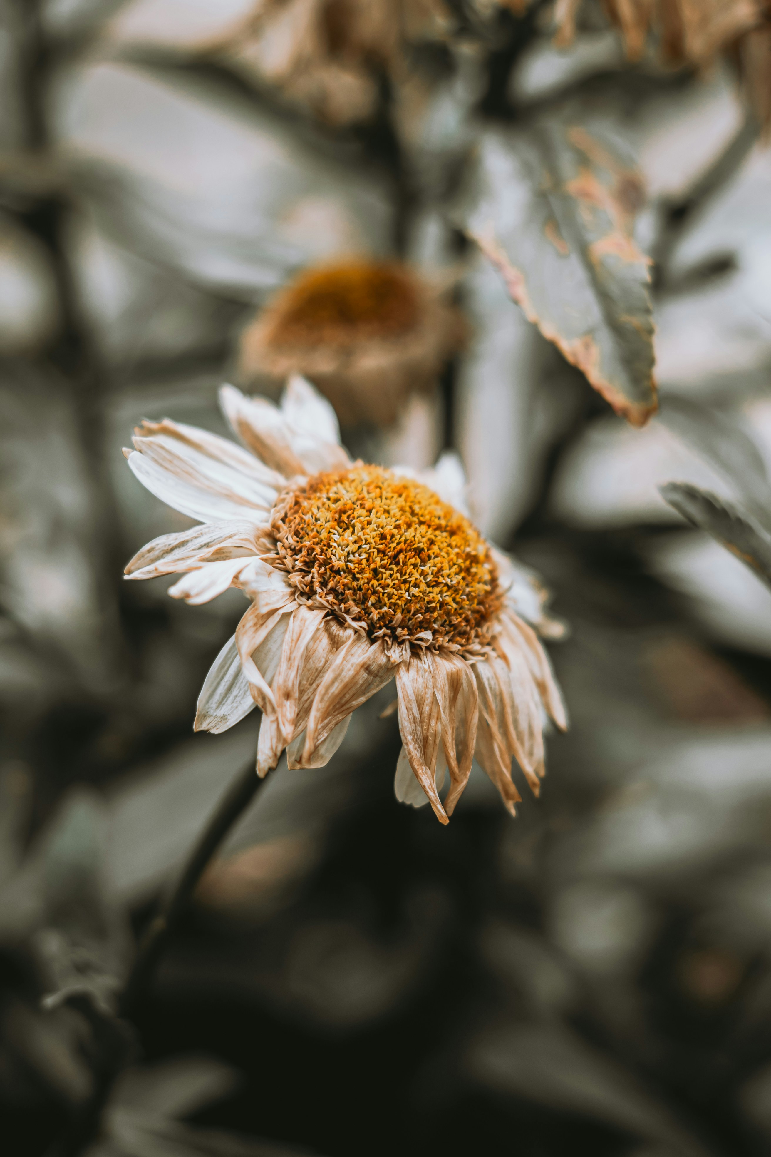 Photo by wojtekpaczes