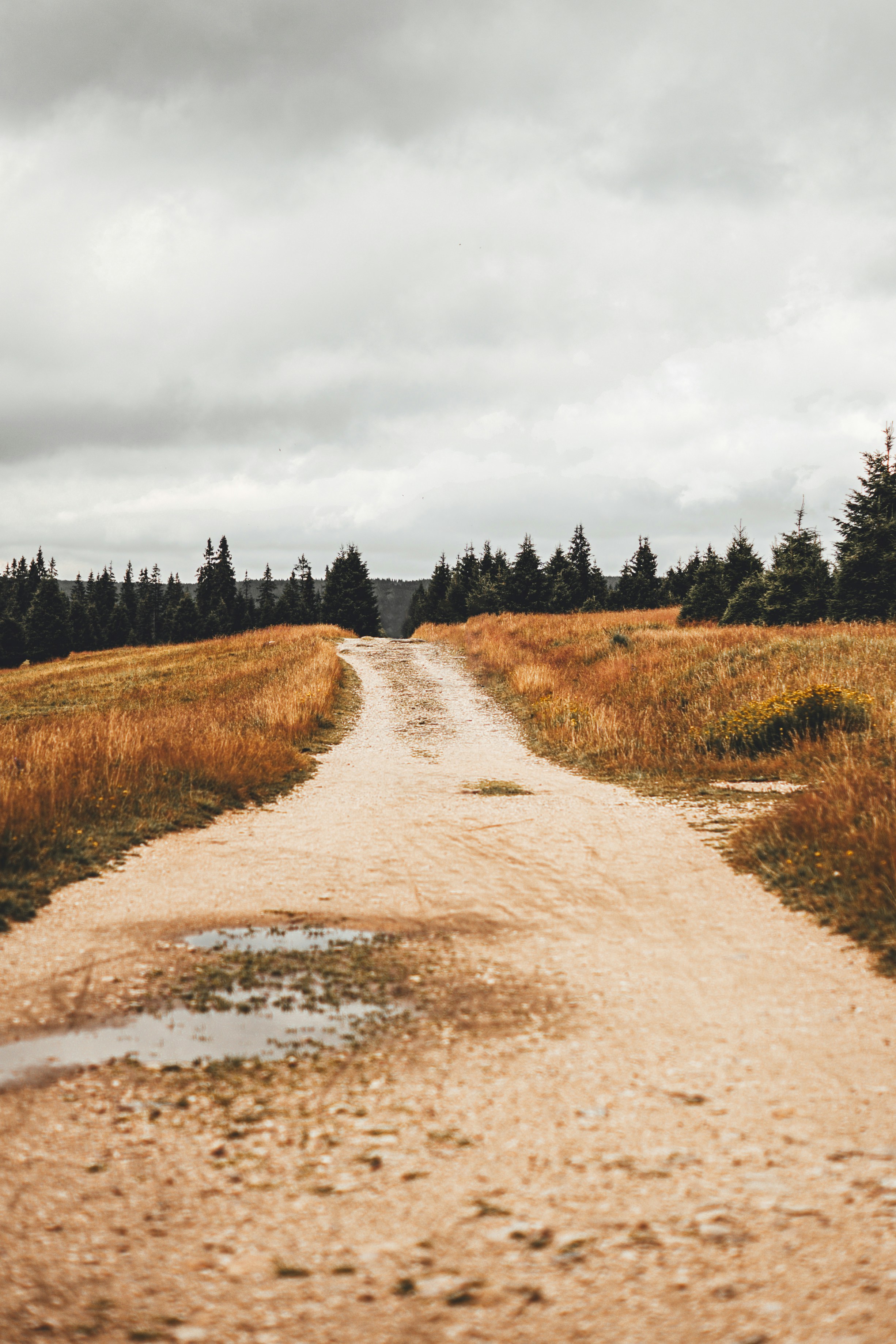 Photo by wojtekpaczes