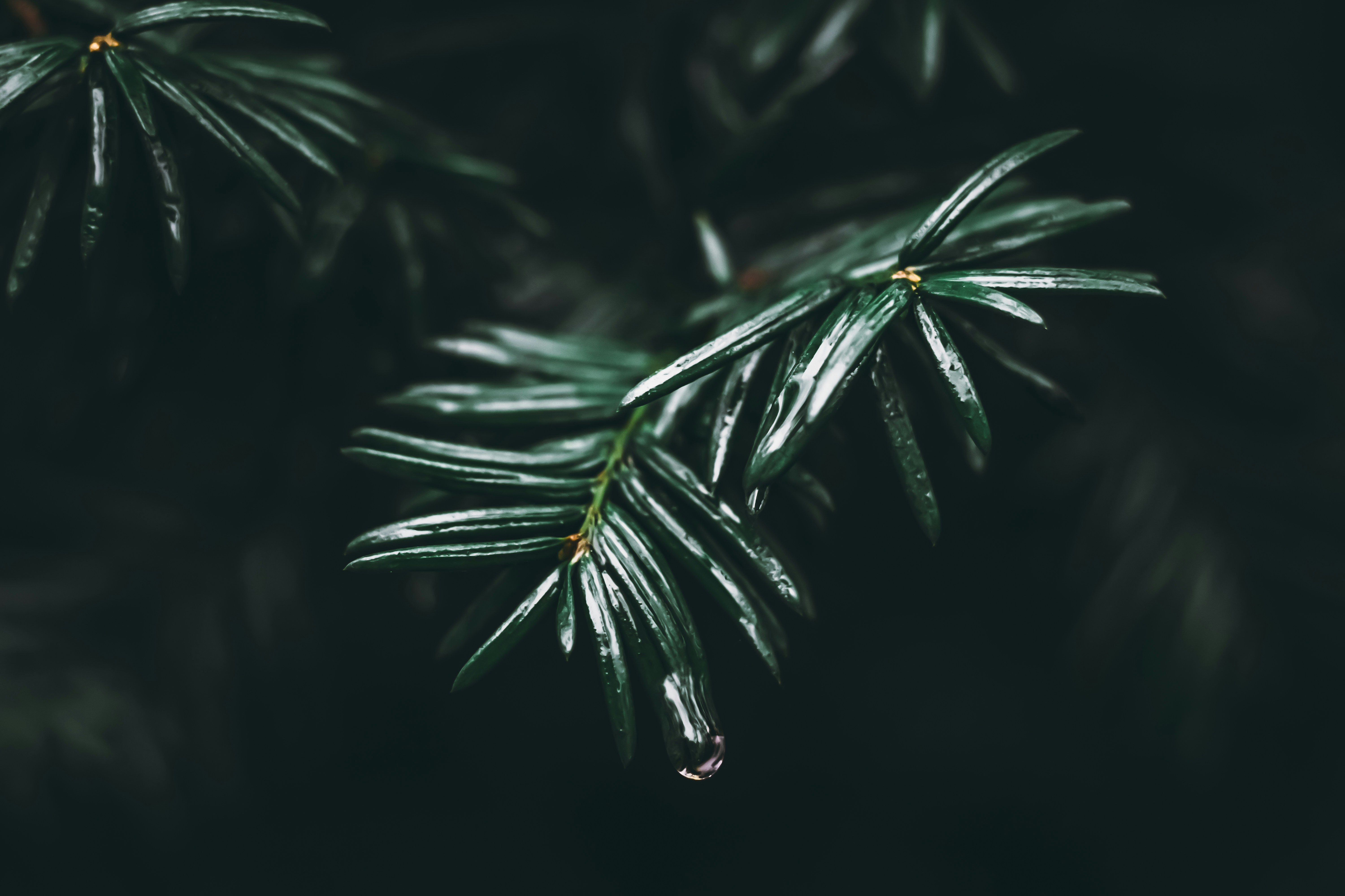 Photo by wojtekpaczes