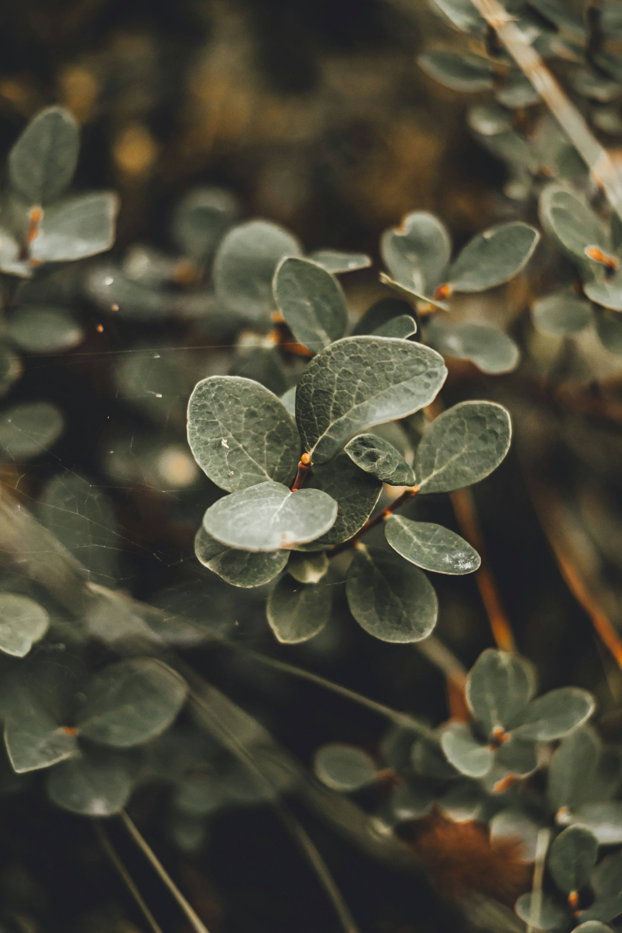 Photo by wojtekpaczes