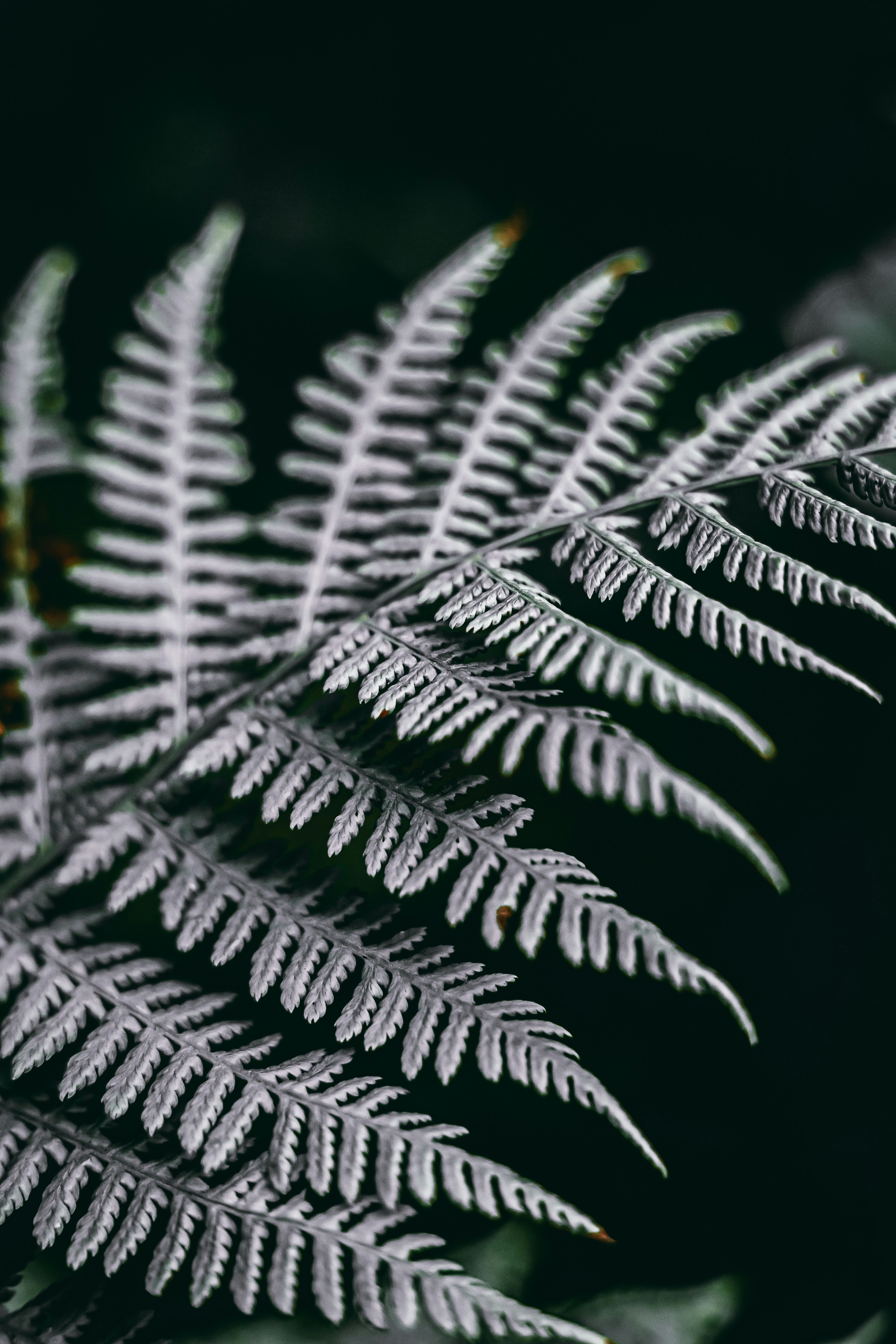 Photo by wojtekpaczes