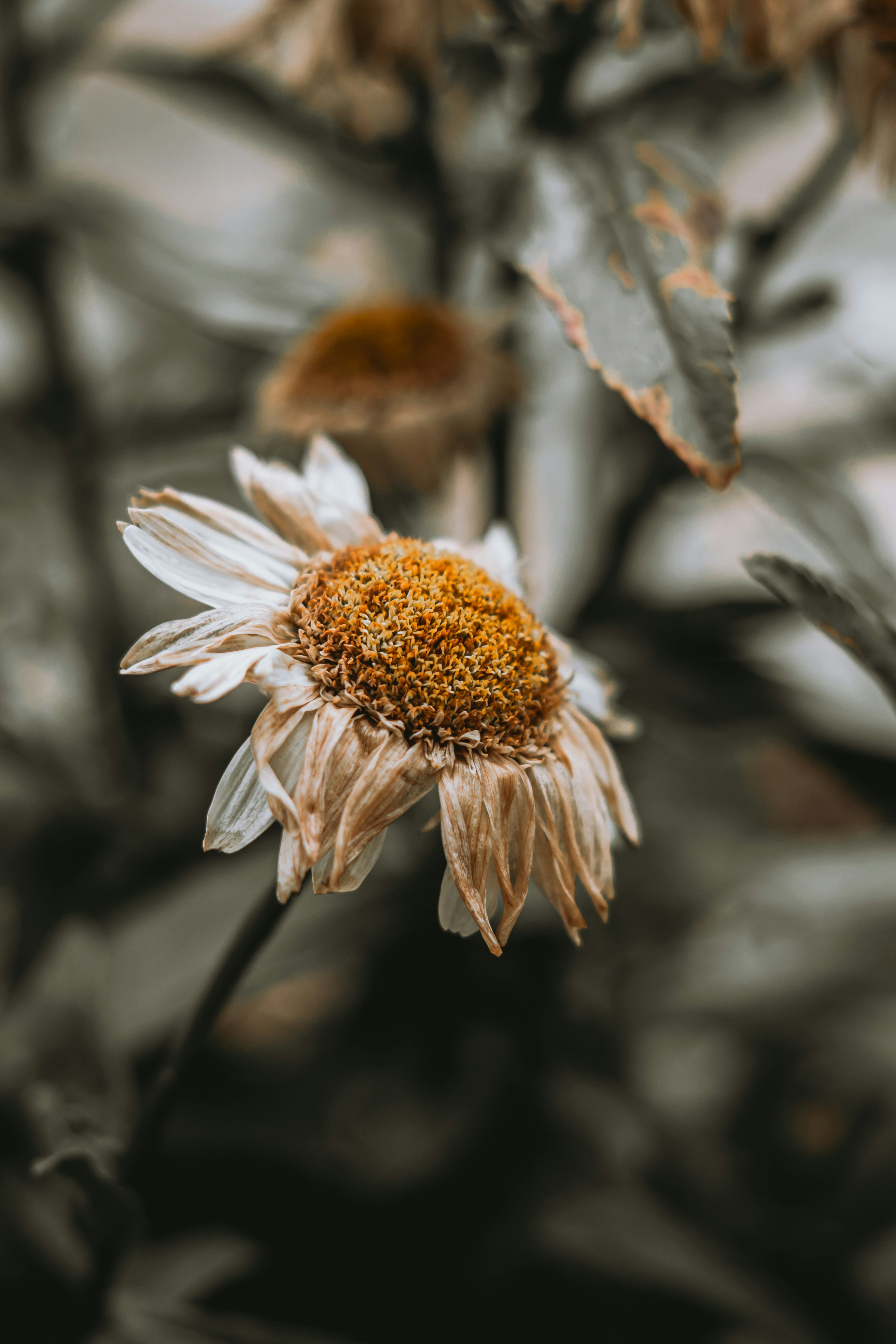 Photo by wojtekpaczes