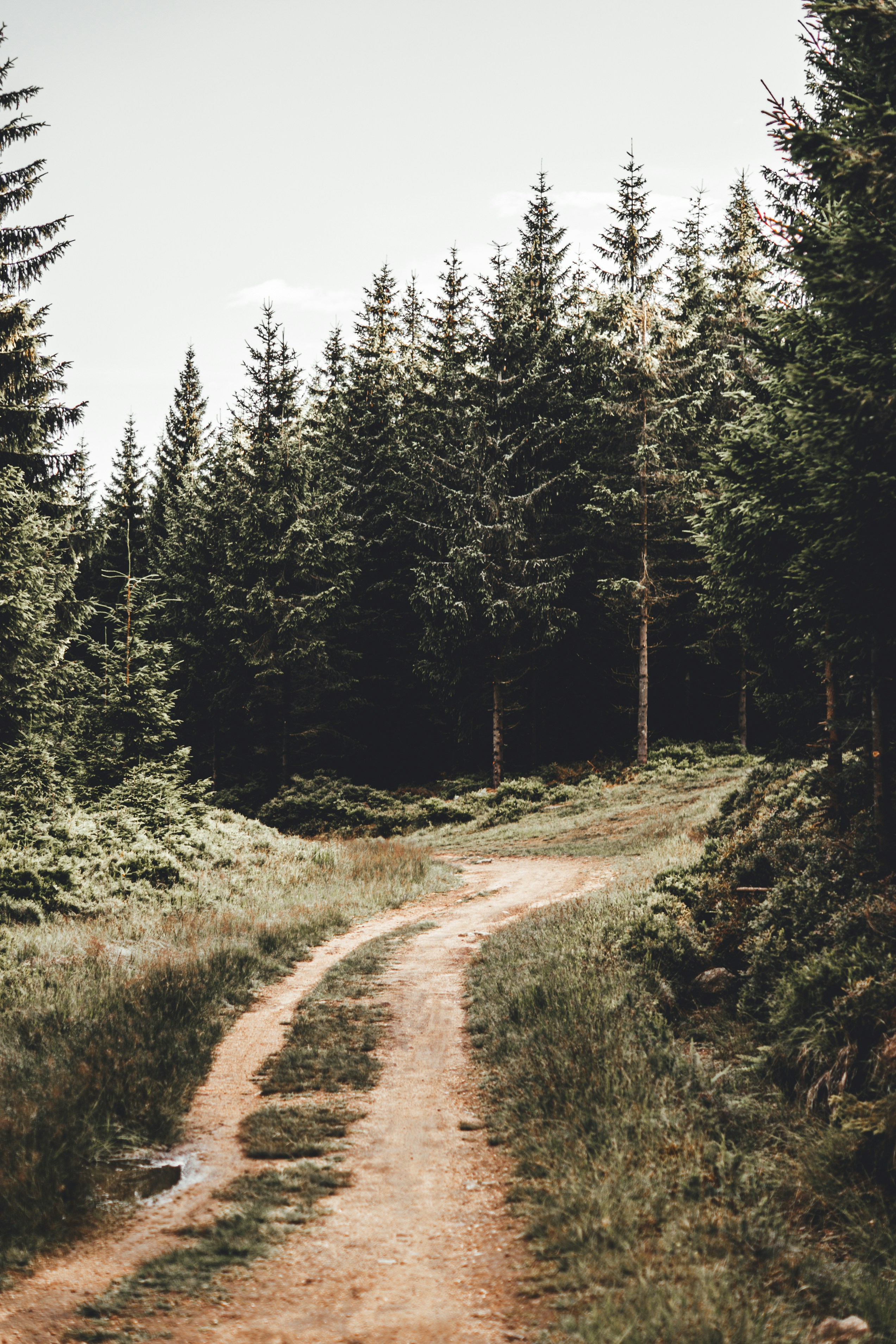 Photo by wojtekpaczes