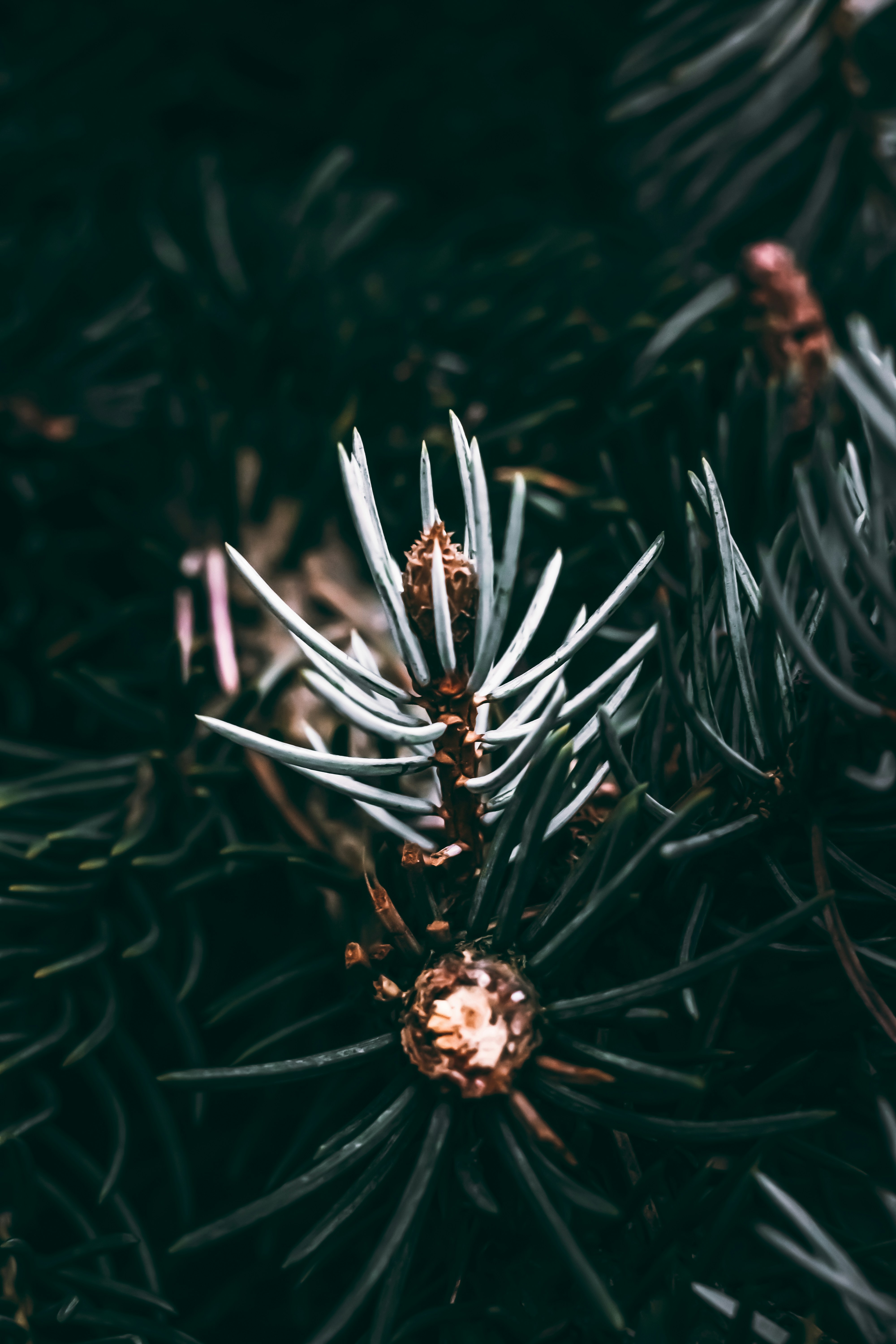 Photo by wojtekpaczes