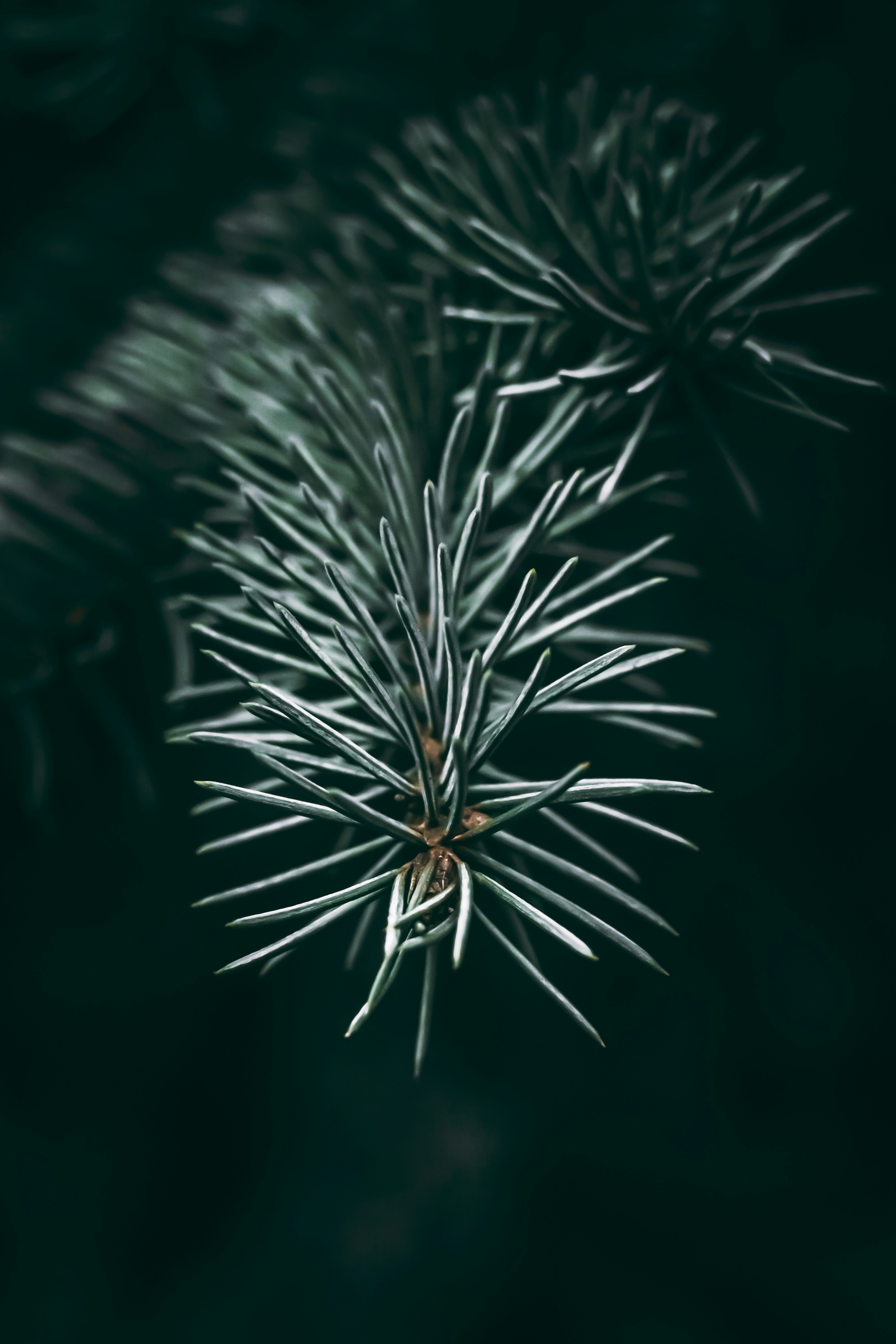 Photo by wojtekpaczes