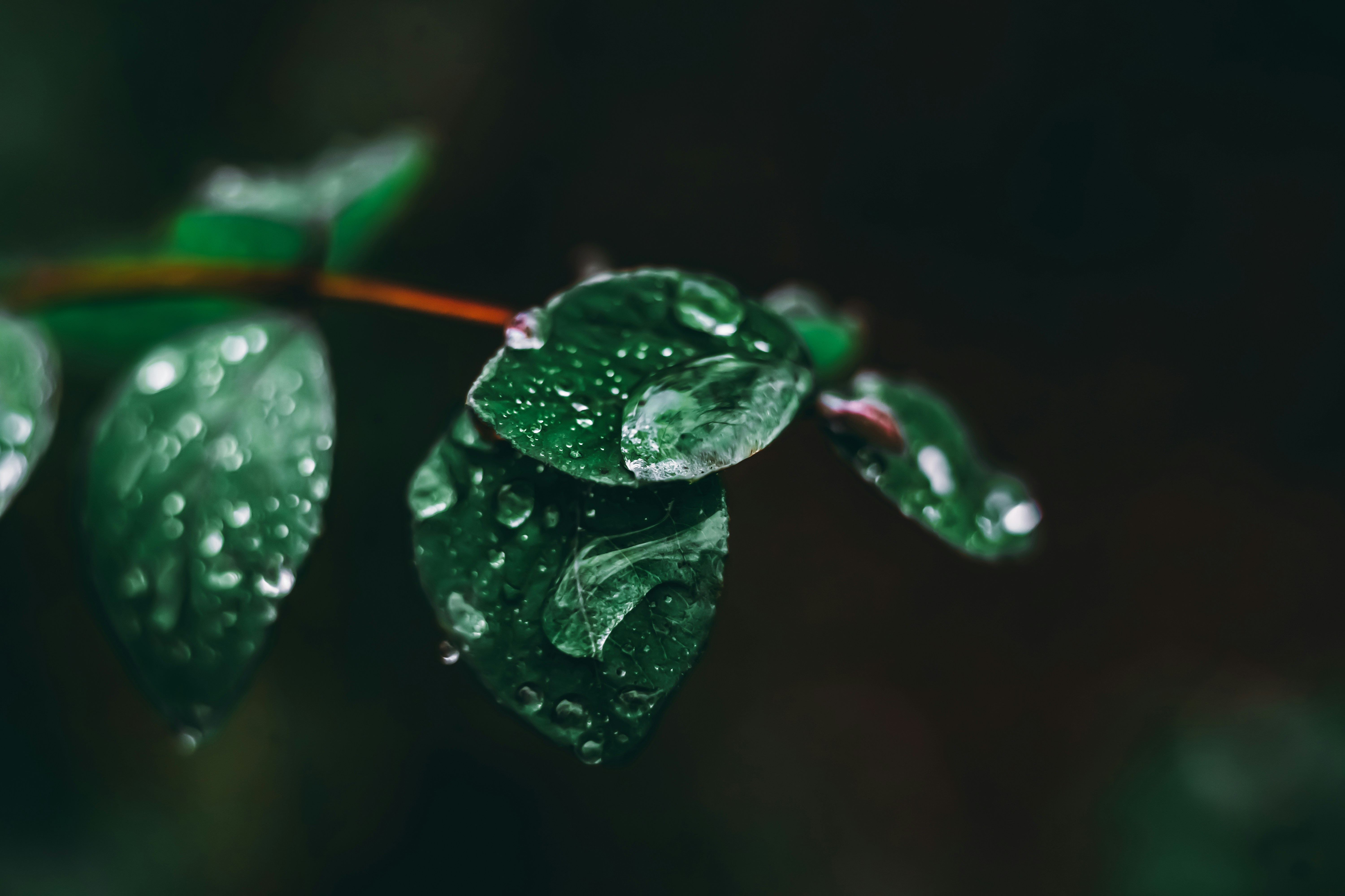 Photo by wojtekpaczes