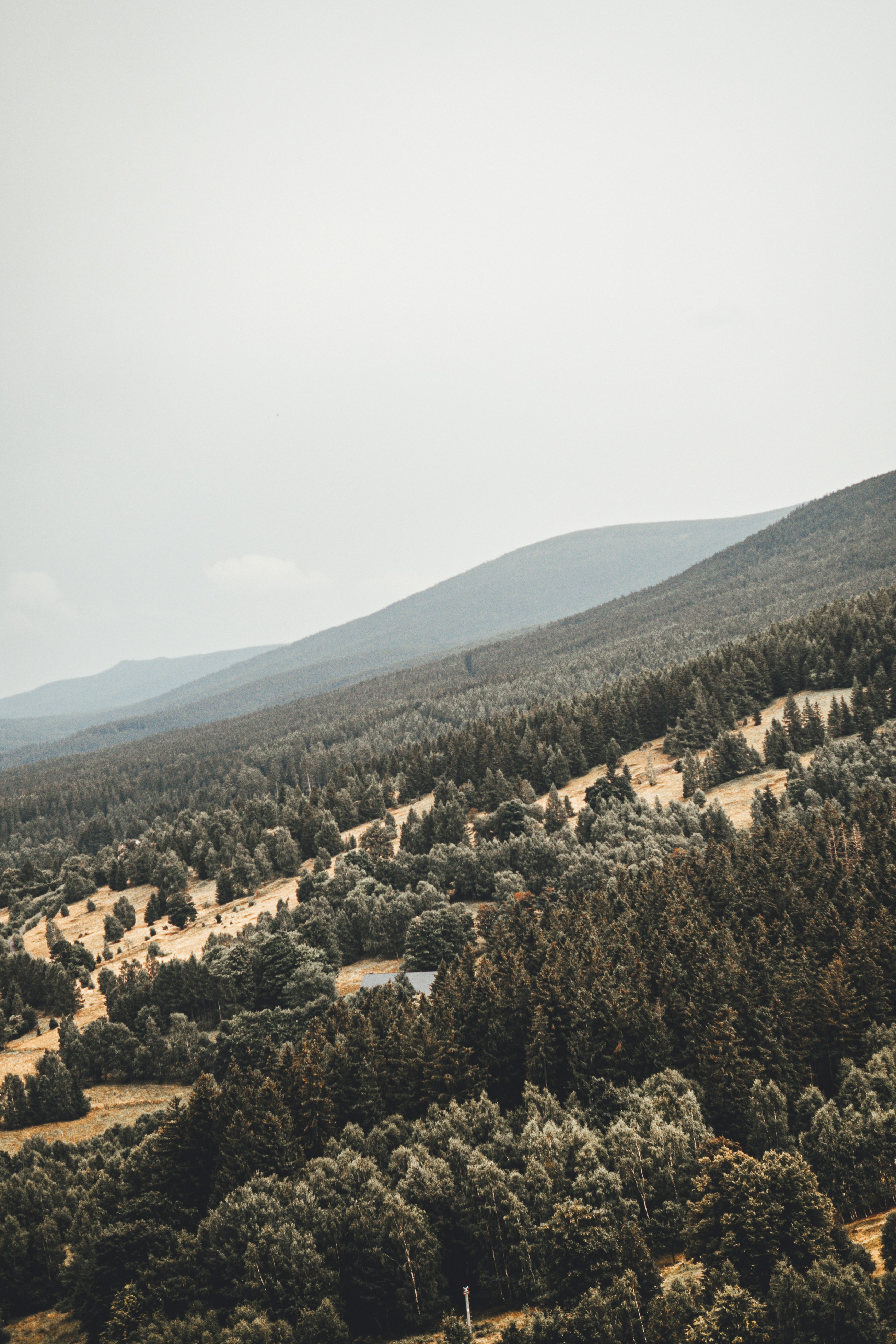 Photo by wojtekpaczes