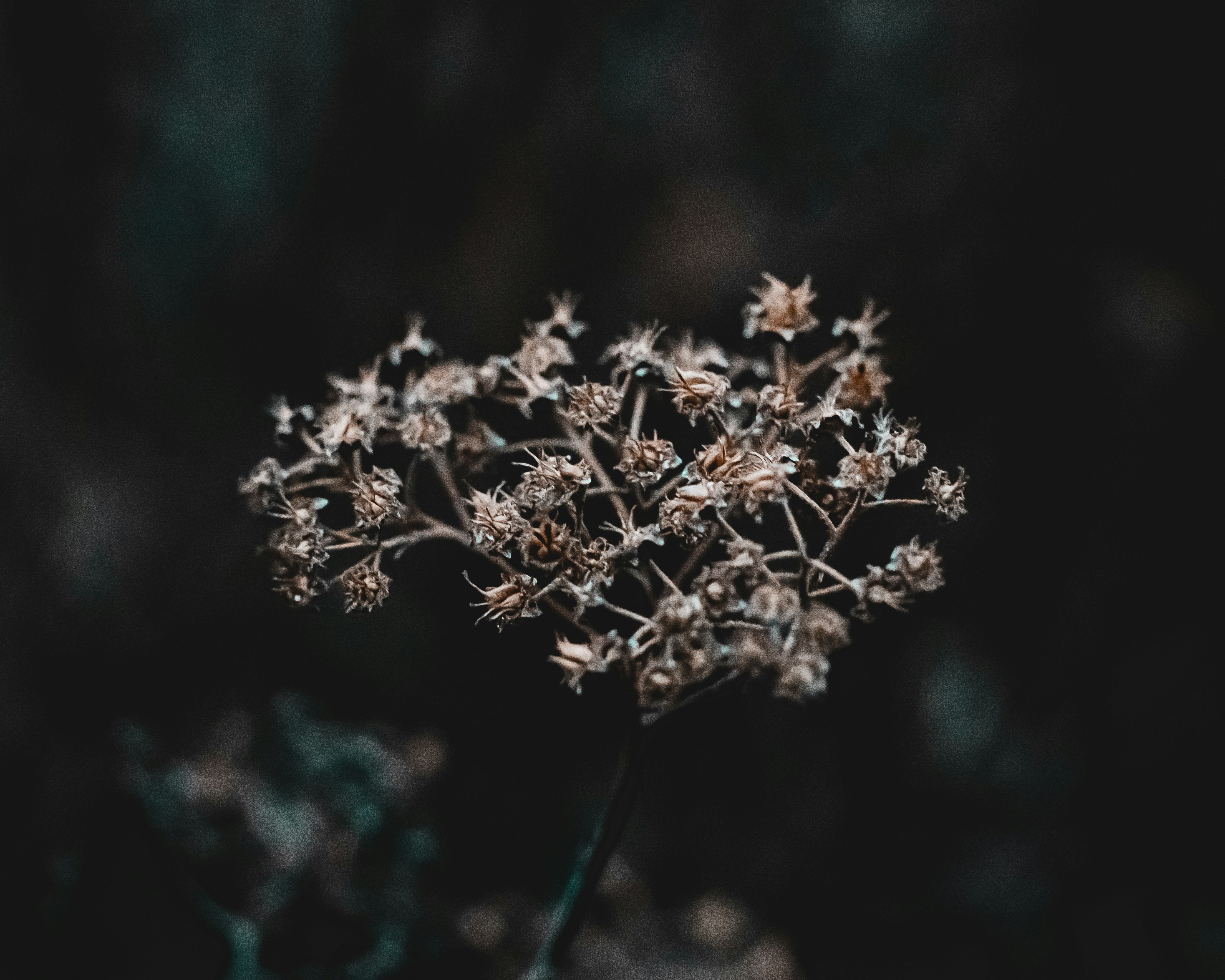 Photo by wojtekpaczes